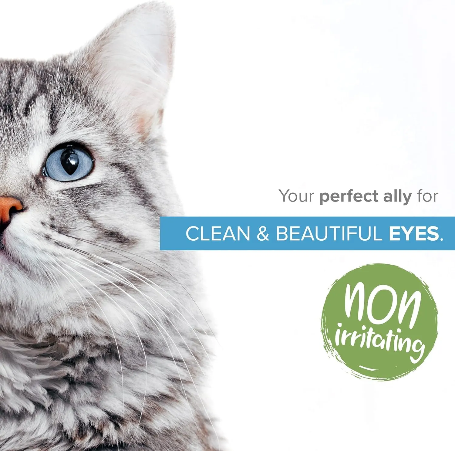 Institut Katharos Collirio Argento Colloidale per Cani e Gatti - immagine 2