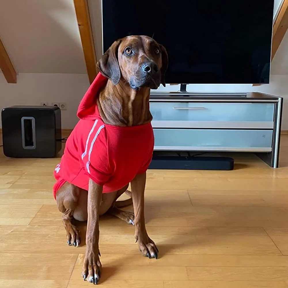 Eastlion Felpa con Cappuccio in Cotone per Cane, Nero, 8XL - immagine 9
