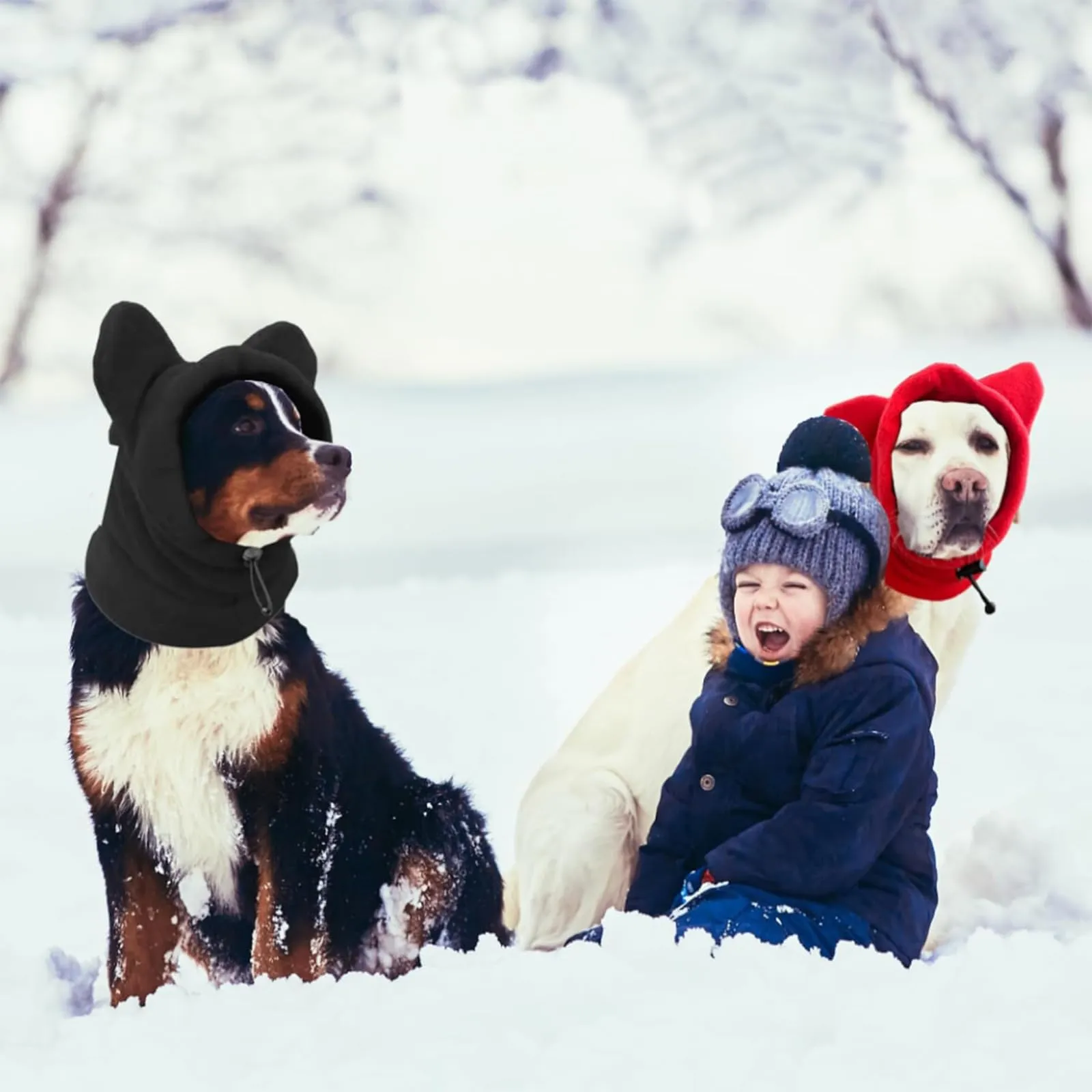 DINGFENG Cuffia per cani con cancellazione del rumore, Taglia M - immagine 6