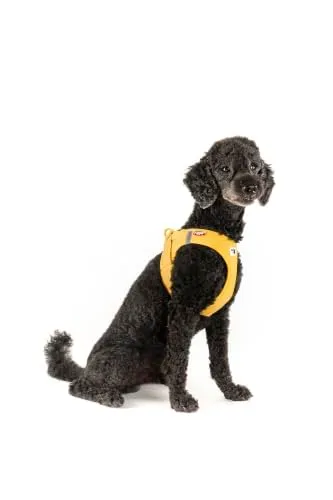 Curli Clasp Air-Mesh Harness, Mango, M - immagine 2