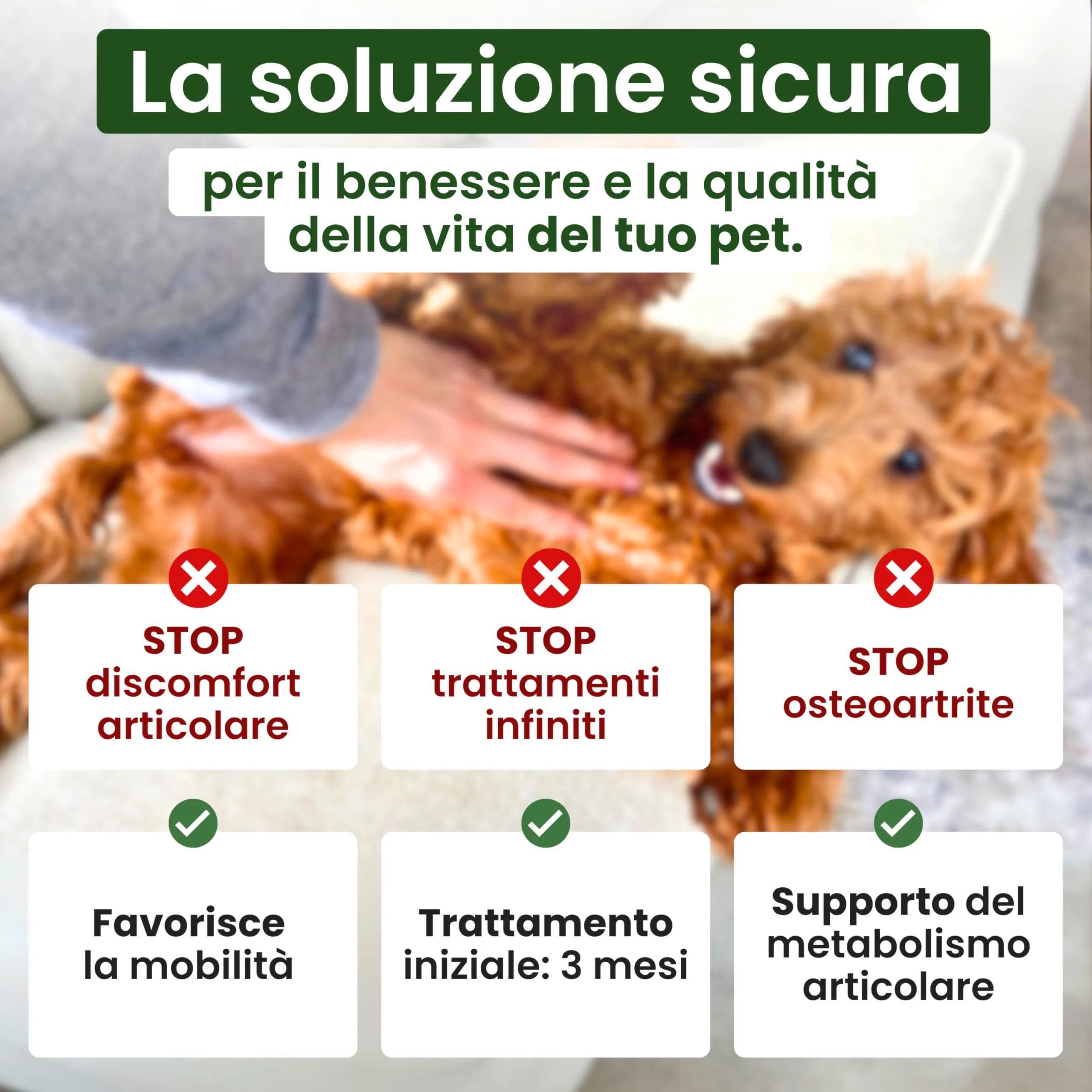 Trebifarma Asudyn per Cani Supporto Naturale per Articolazioni e Mobilità - immagine 3