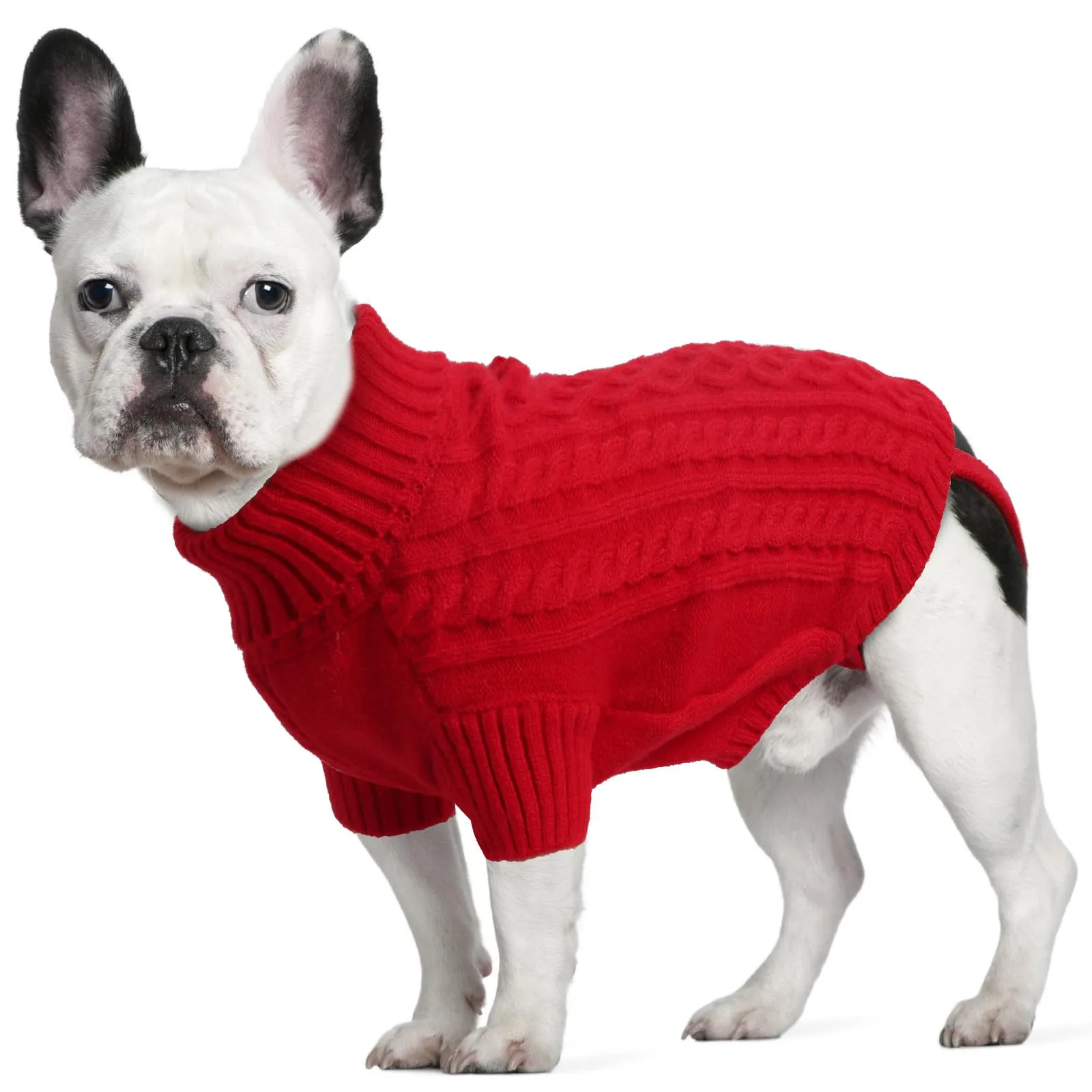 LiebeDD Maglione Cane Invernale Termica Dolcevita Rosso L - immagine 1
