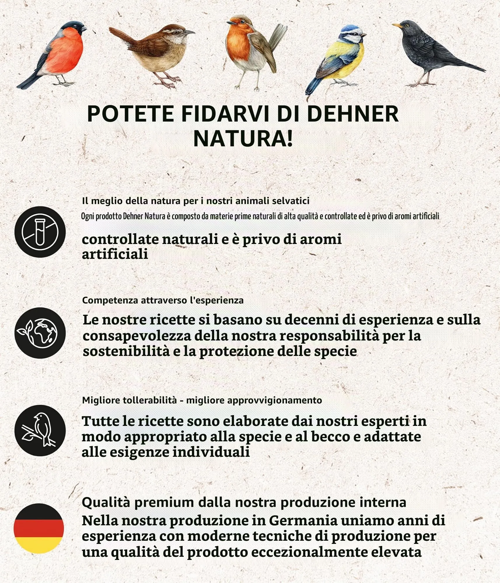 Dehner Natura Premium Palline per Cinciallegre, 100 pezzi da 90 g (9 kg) - immagine 4