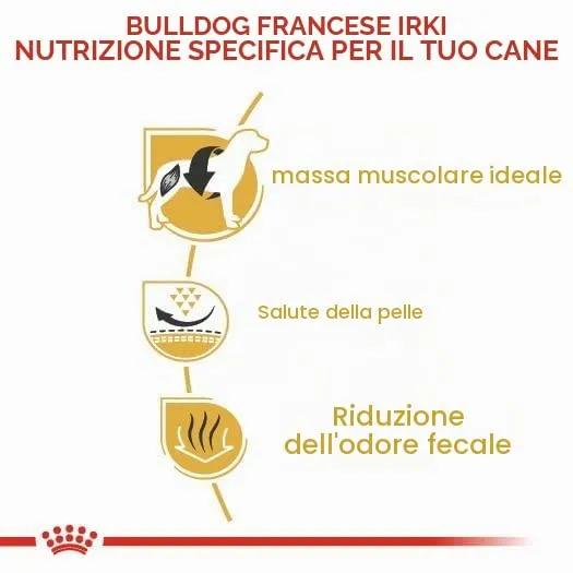 Royal Canin French Bulldog Adult Dog Dry Food, 3kg - immagine 4