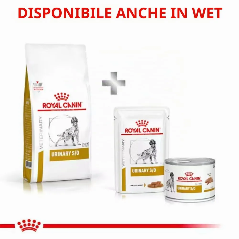 Royal Canin Veterinary Diet Urinary S/O LP18 Dog Food - 13 kg - immagine 6