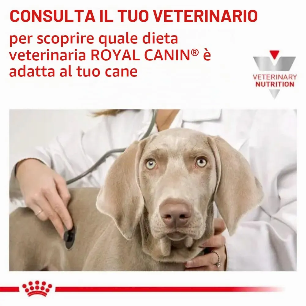 Royal Canin Veterinary Diet Urinary S/O LP18 Dog Food - 13 kg - immagine 8
