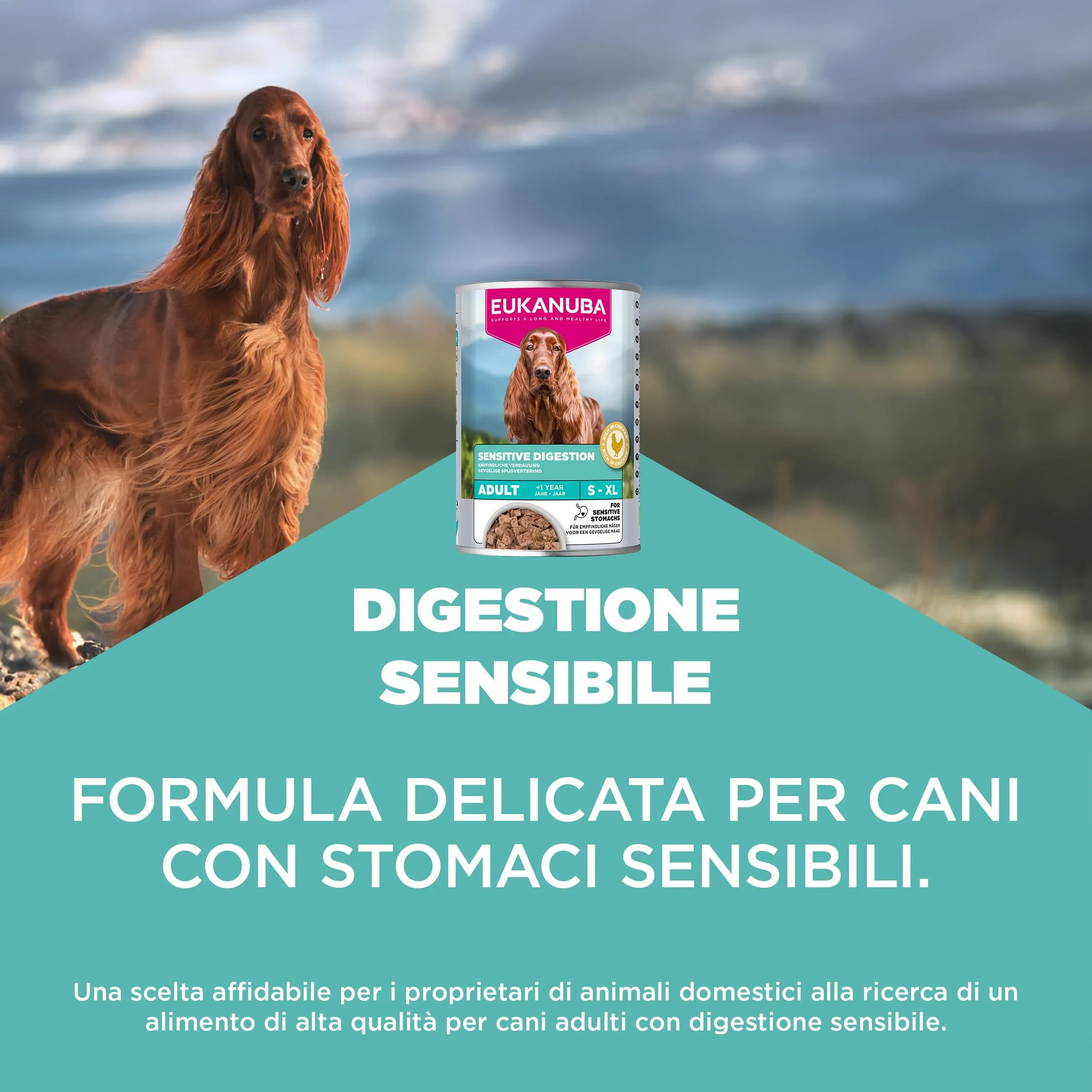 Eukanuba Special Care Alimento Umido per Cani Adulti con Digestione Sensibile 6 x 400 g - immagine 2