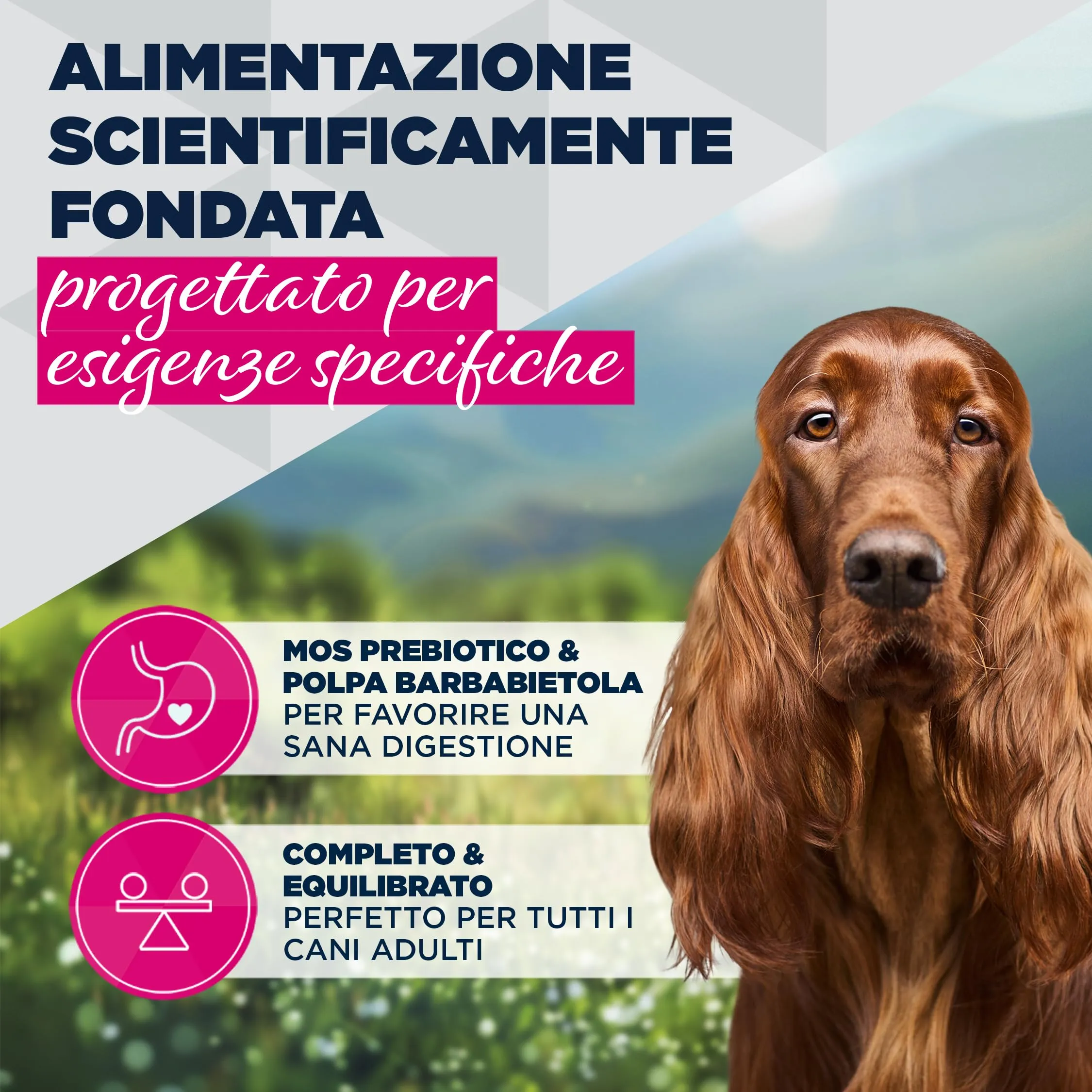 Eukanuba Special Care Alimento Umido per Cani Adulti con Digestione Sensibile 6 x 400 g - immagine 3