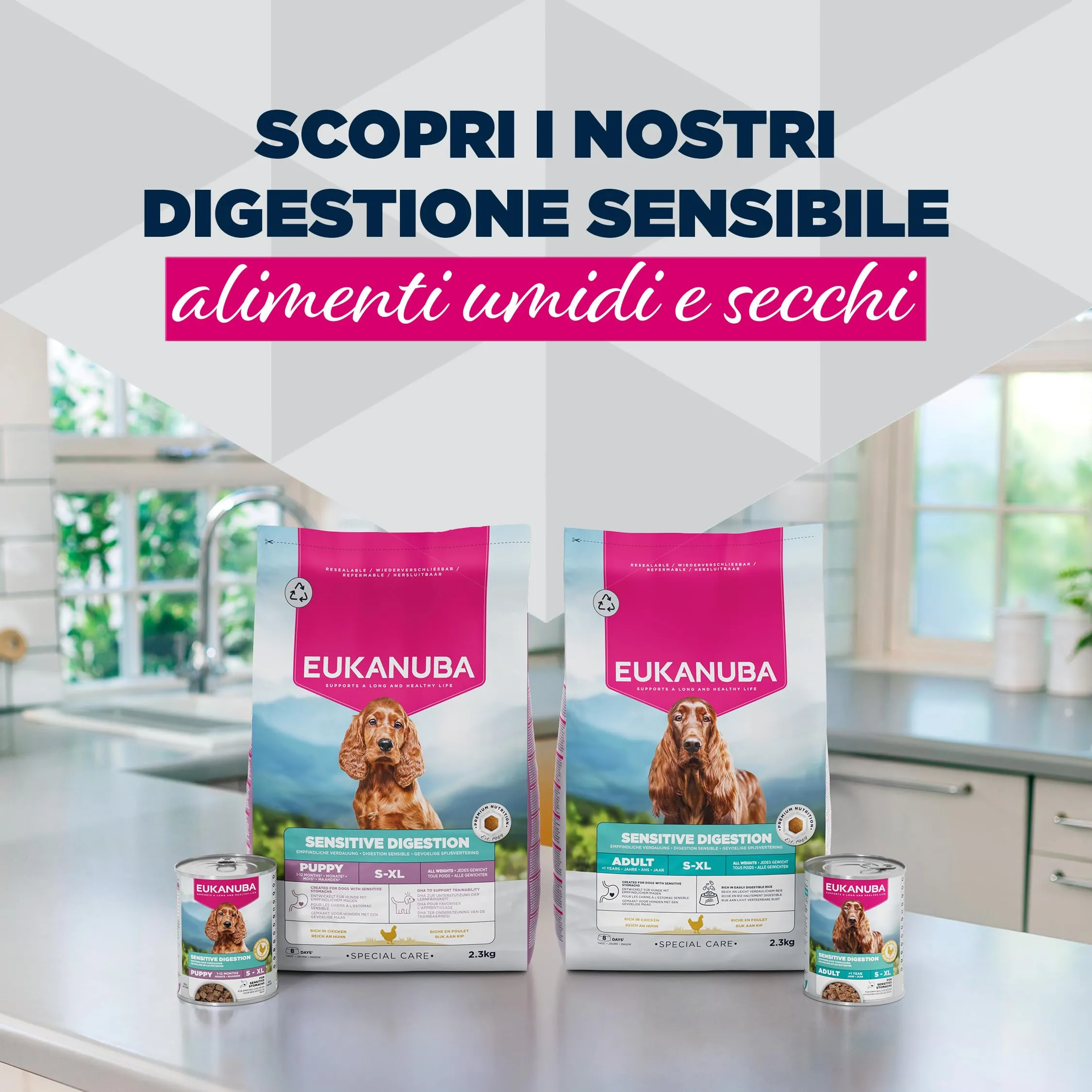 Eukanuba Special Care Alimento Umido per Cani Adulti con Digestione Sensibile 6 x 400 g - immagine 7