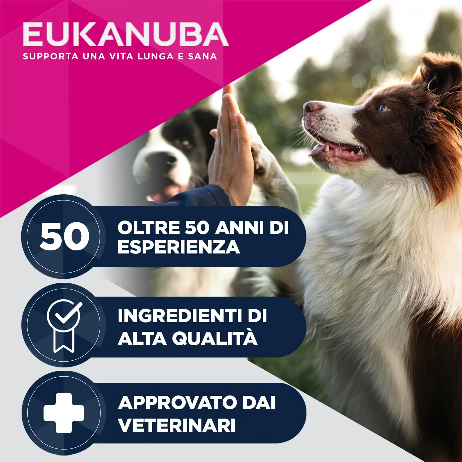 Eukanuba Special Care Alimento Umido per Cani Adulti con Digestione Sensibile 6 x 400 g - immagine 8