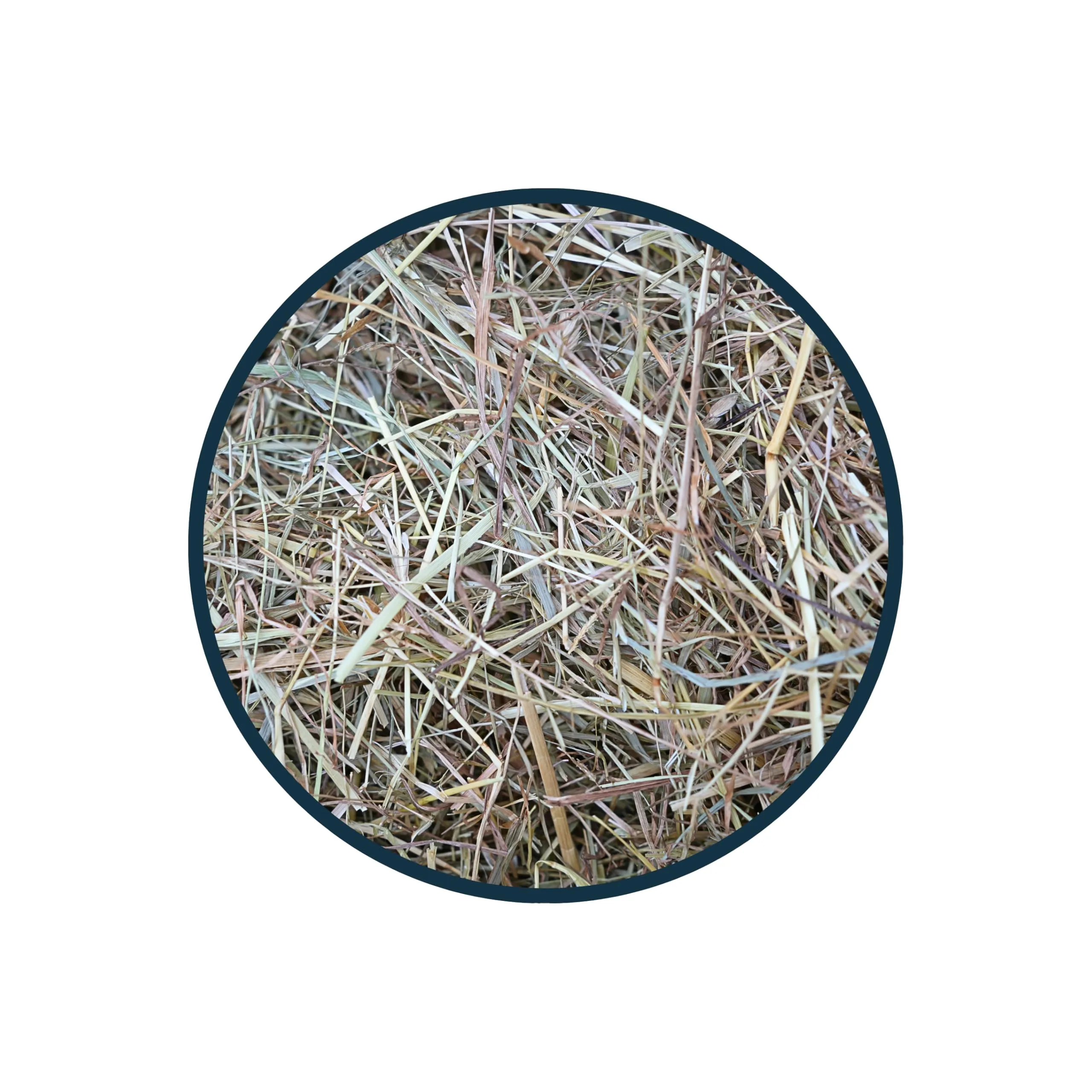 Anibest Fieno di Prato Naturale per Conigli, Criceti e Cavie, 1 kg - immagine 7