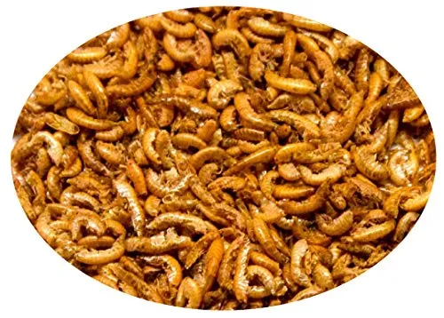 Haquoss Gammarus Mangime Naturale in Gamberetti Essiccati per Tartarughe Acquatiche, 10 g - immagine 3