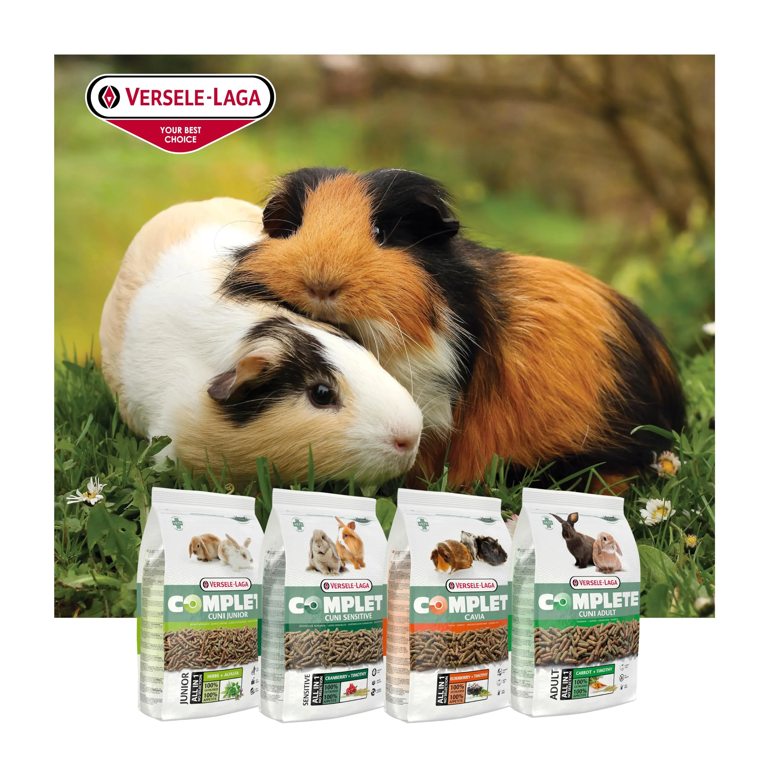 Versele-Laga Complete Cuni Junior Alimento per Conigli 0-8 Mesi, 500 g - immagine 8