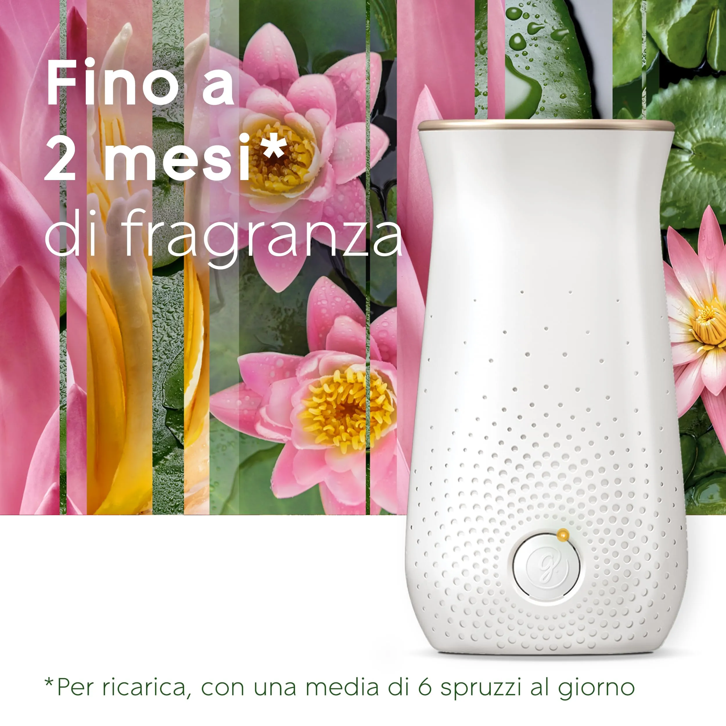 Glade Sense & Spray Ricariche, Relaxing Zen, 3 x 18 ml - immagine 3