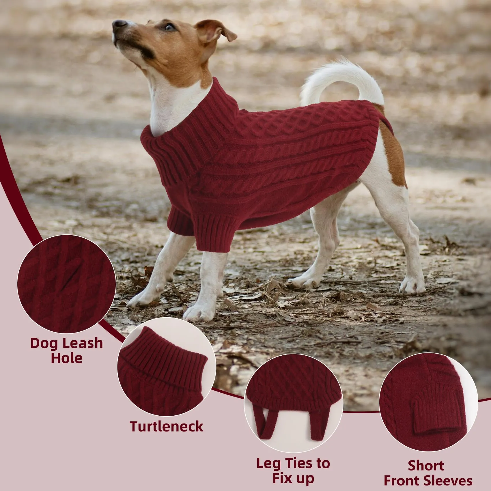 LiebeDD Maglione Cane Invernale Termica Dolcevita, Rosso Bordeaux, Taglia M - immagine 5