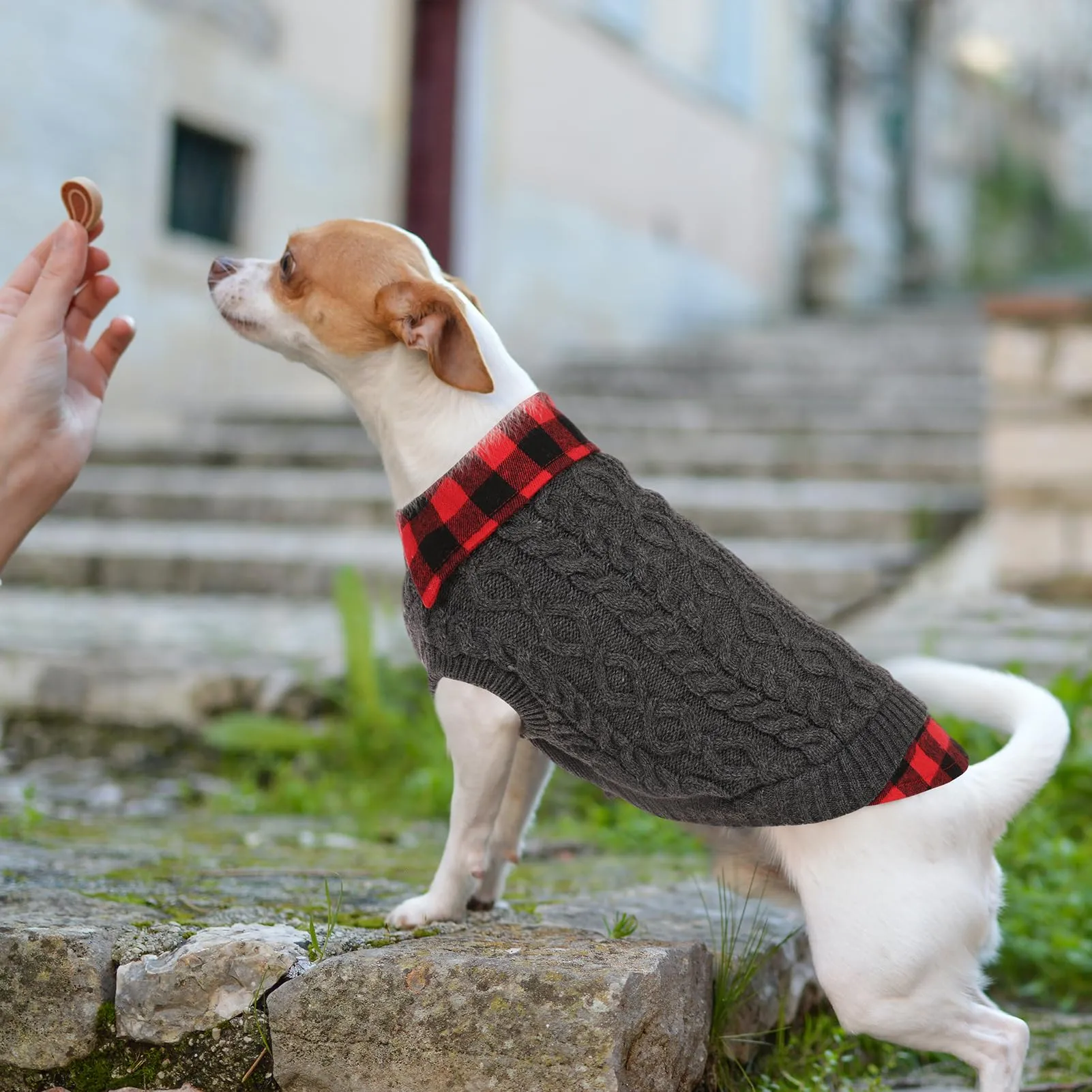 CITÉTOILE Maglione Invernale per Cani a Quadri, Grigio, S - immagine 6