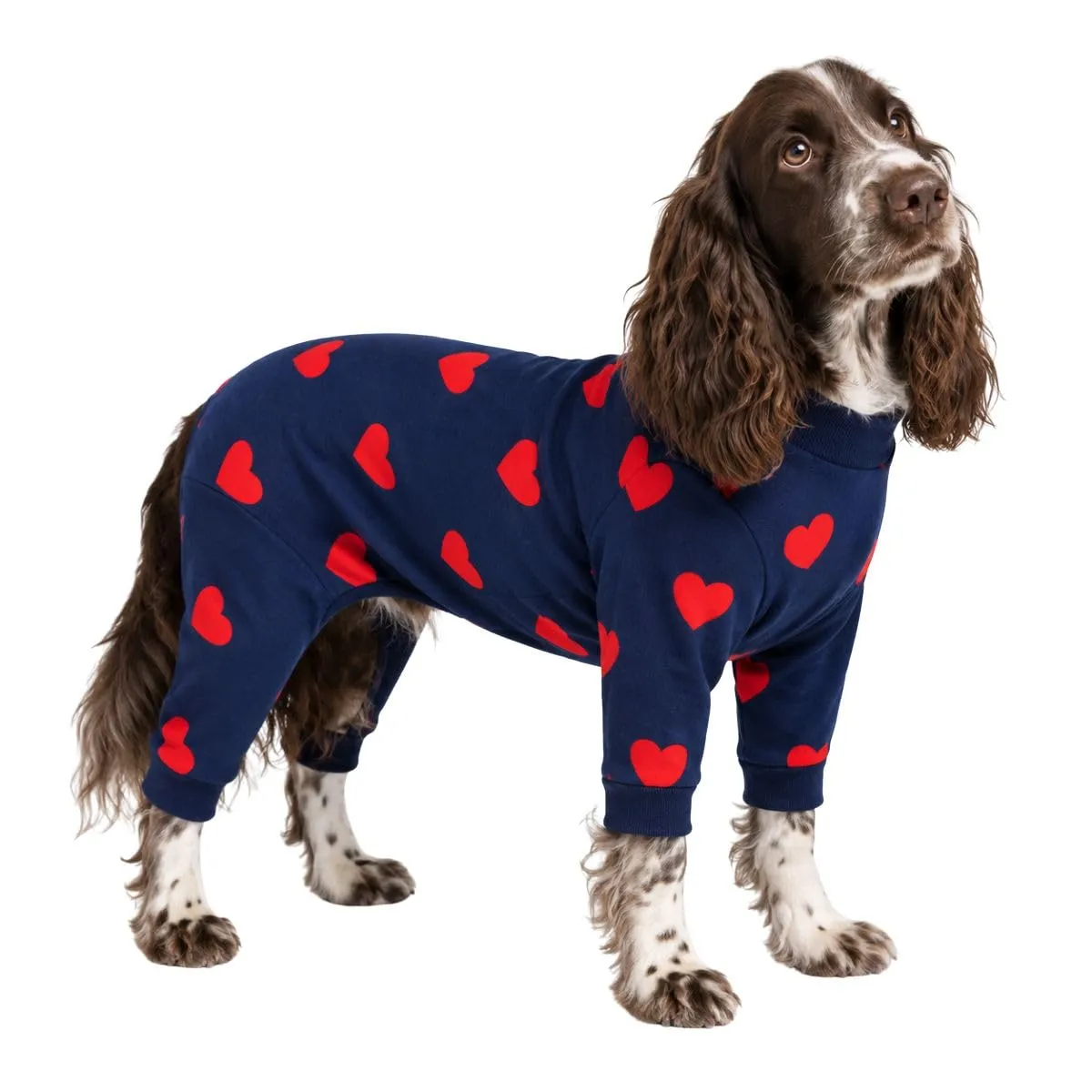 Spark Paws Pigiama per cani - Cuori - XL - immagine 1