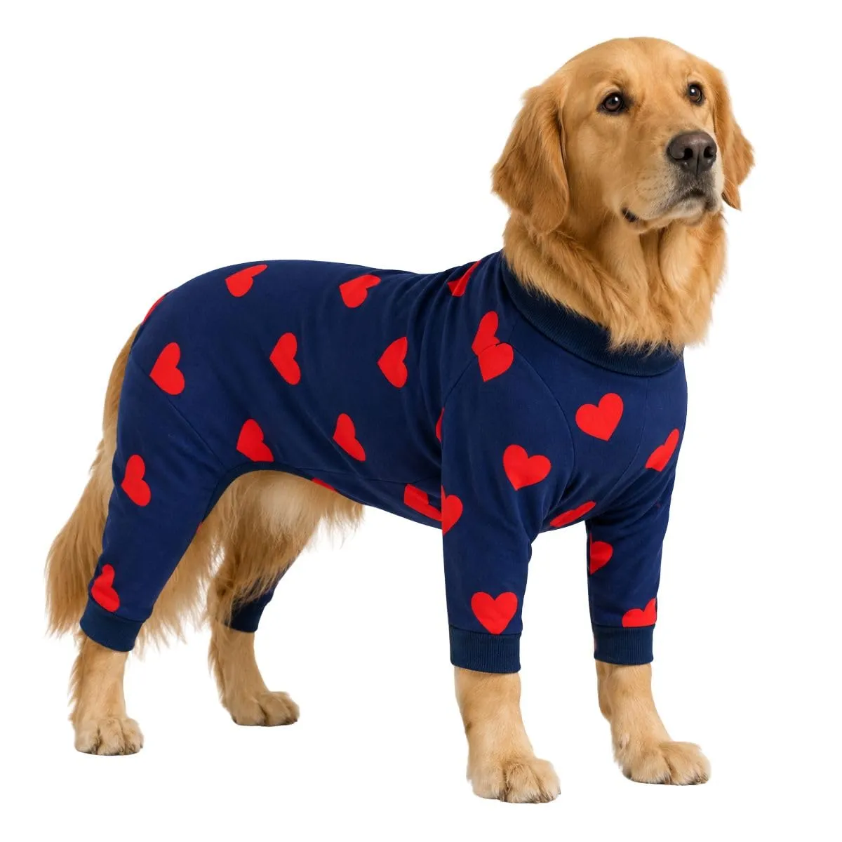 Spark Paws Pigiama per cane maschio, tuta di convalescenza in pile, motivo cuori, 3XL - immagine 1