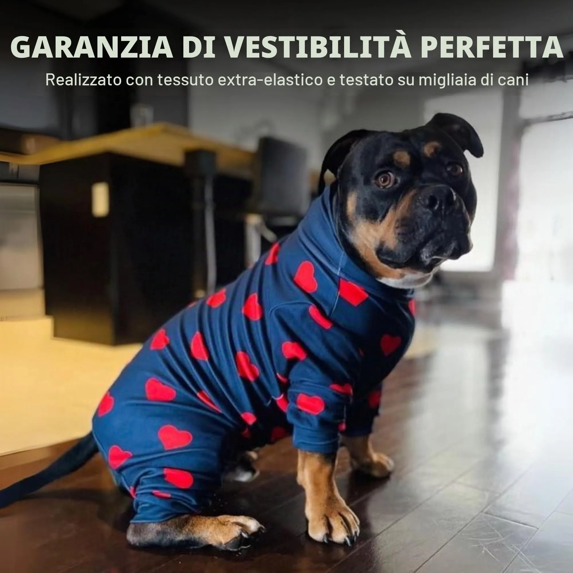 Spark Paws Pigiama per cane maschio, tuta di convalescenza in pile, motivo cuori, 3XL - immagine 4
