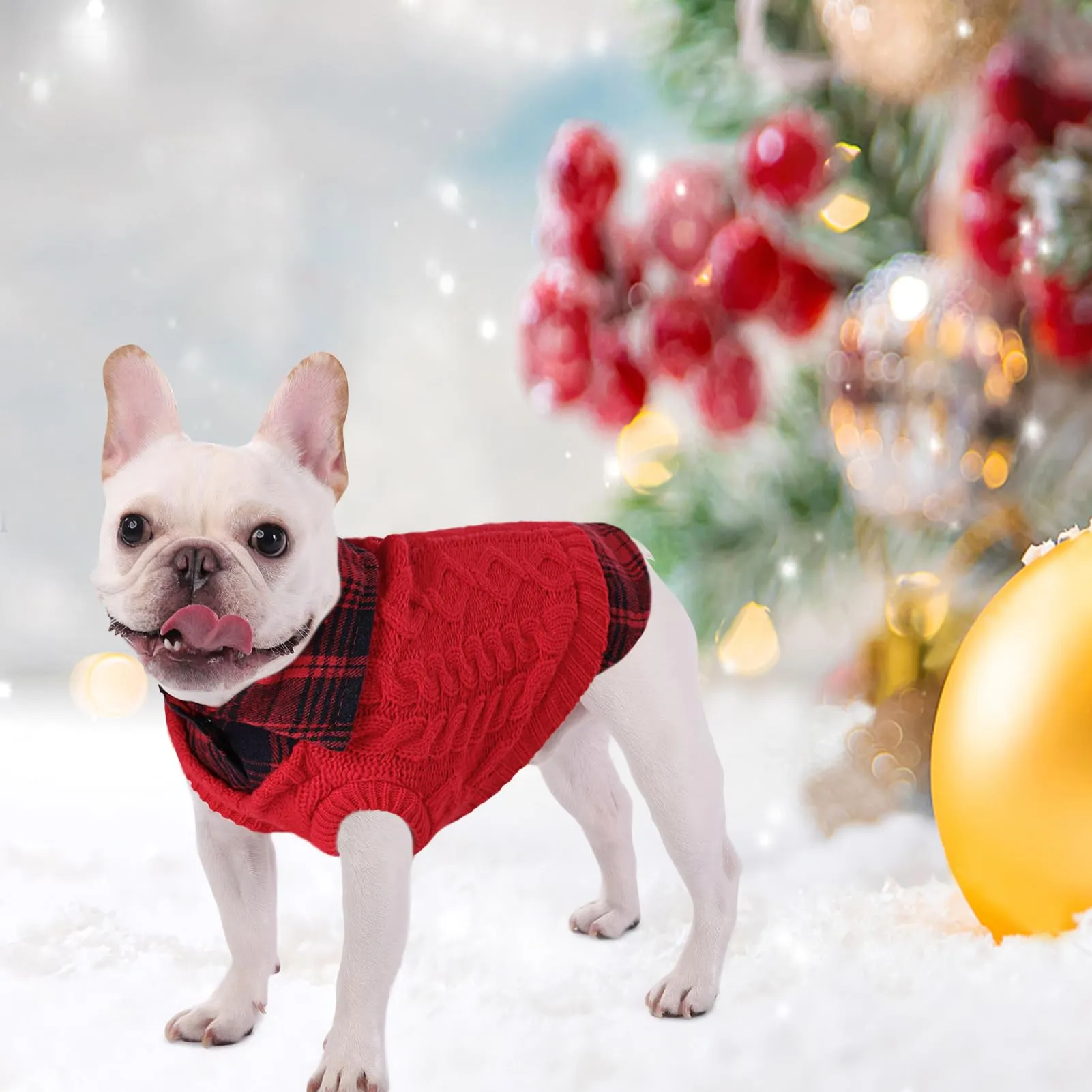 CITÉTOILE Maglione Invernale per Cani a Quadri, Rosso, S - immagine 6