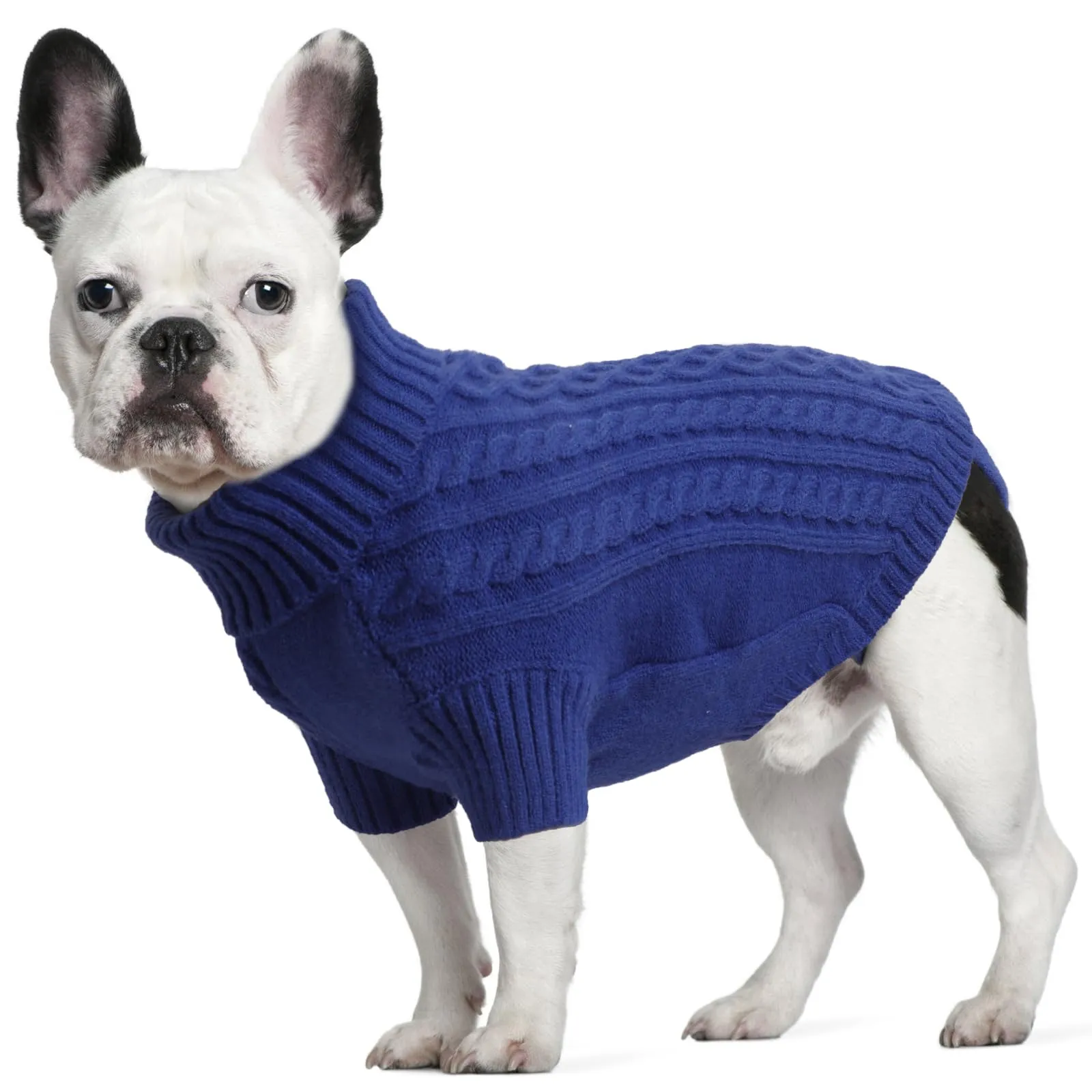 LiebeDD Maglione Cane Invernale Termico Dolcevita (Blu Scuro, M) - immagine 1