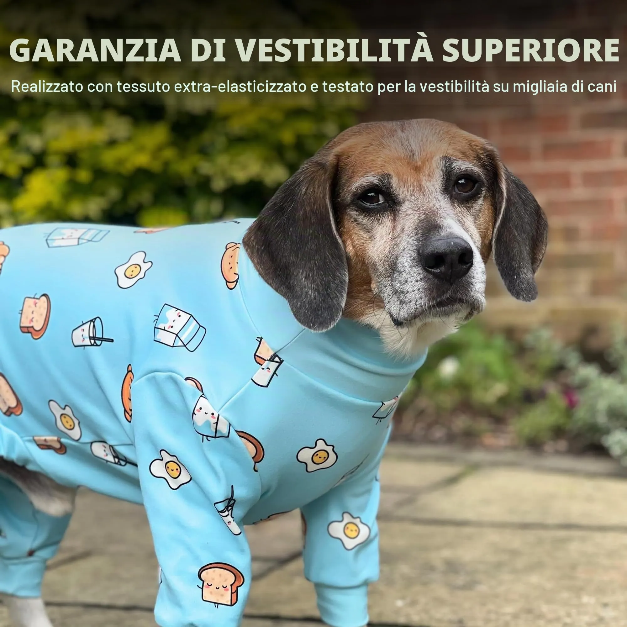 Spark Paws Pigiama per Cani - Tuta Elasticizzata, Colazione Blu, X-Large - immagine 5