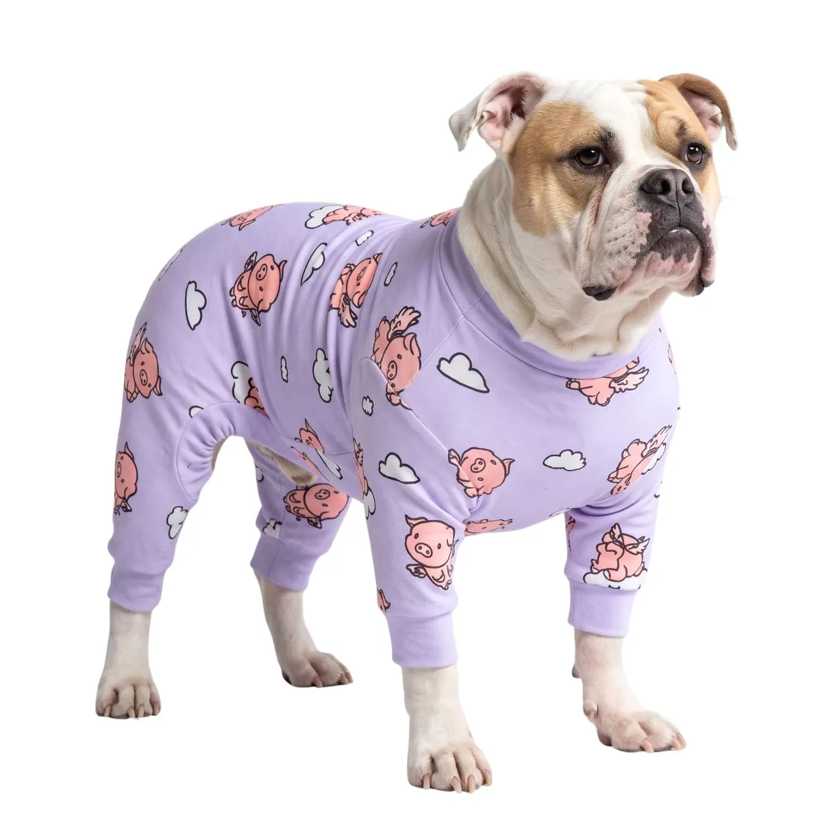 Spark Paws Pigiama per cani, tuta da recupero ultra morbida ed elasticizzata, viola, 4XL - immagine 1