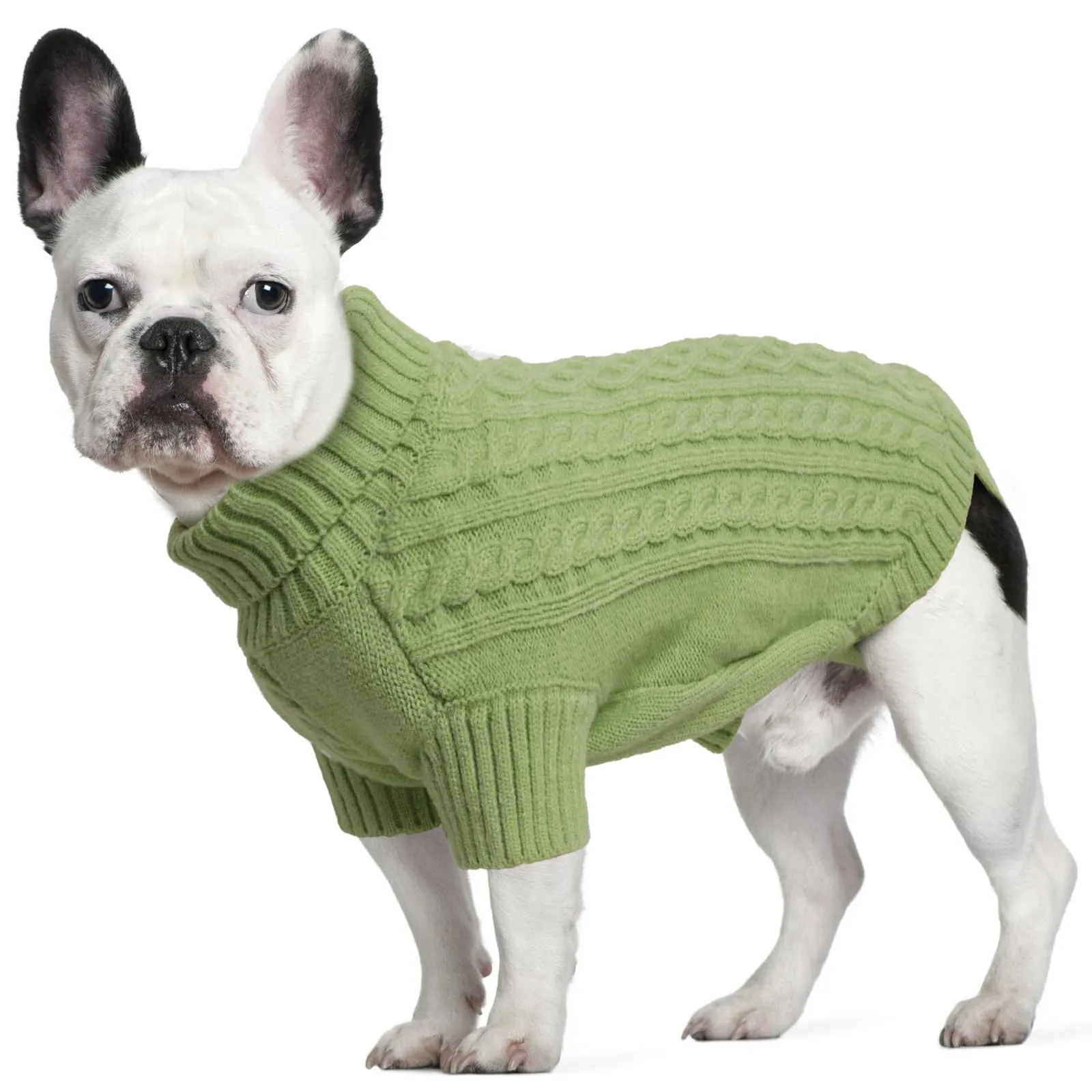 LiebeDD Maglione Cane Invernale Termica Dolcevita Verde Erba L - immagine 1