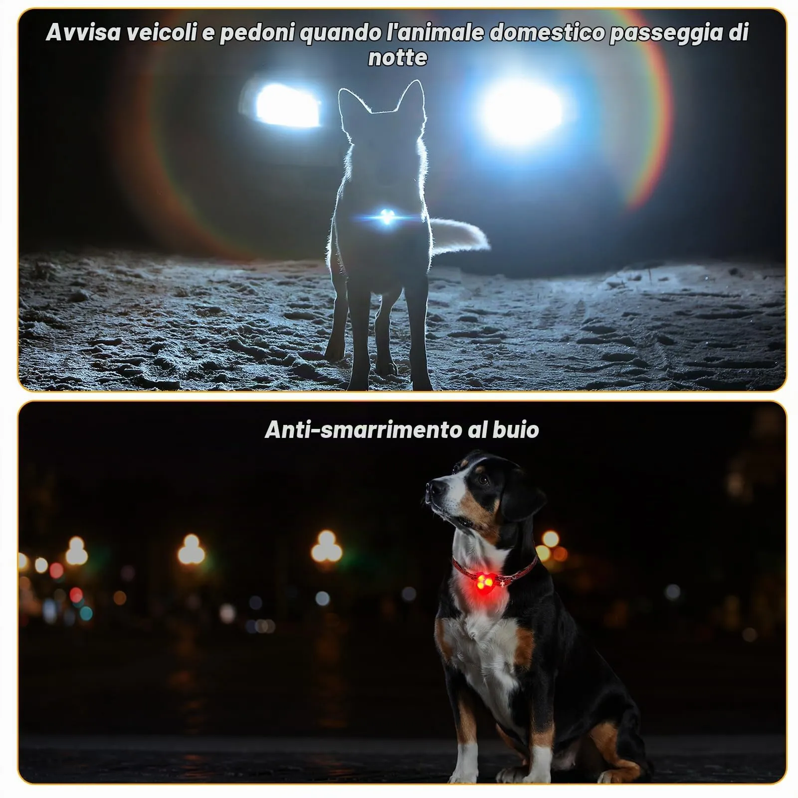 AUAUY Luce per Collare Cani e Gatti, Clip-On Ciondolo Luminoso, 5 Colori - immagine 4