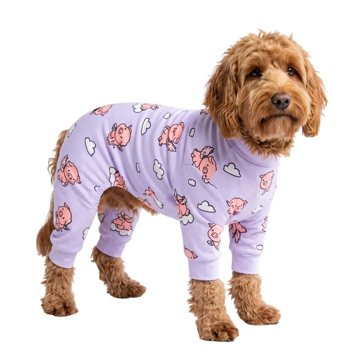 Spark Paws Pigiama per Cane When Pigs Fly, Viola, L - immagine 1