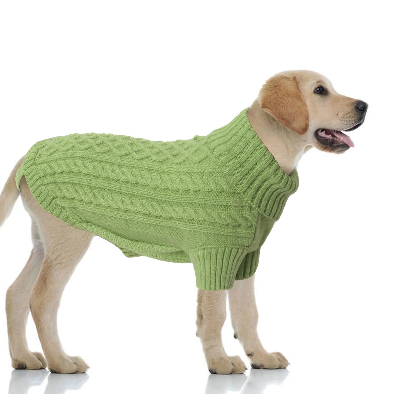 LiebeDD Maglione Cane Invernale Dolcevita in Pile (Verde Erba, XL) - immagine 1
