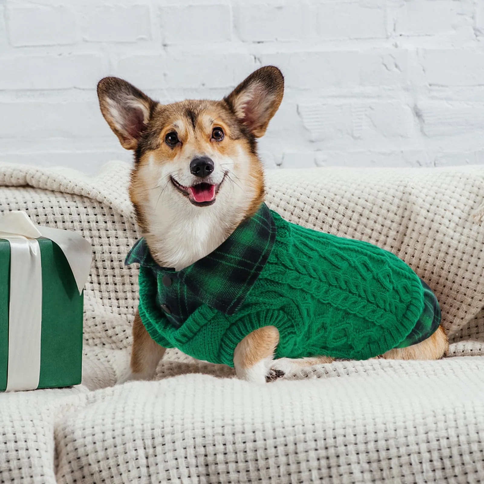 CITÉTOILE Maglione Invernale per Cani, Verde, XL - immagine 6