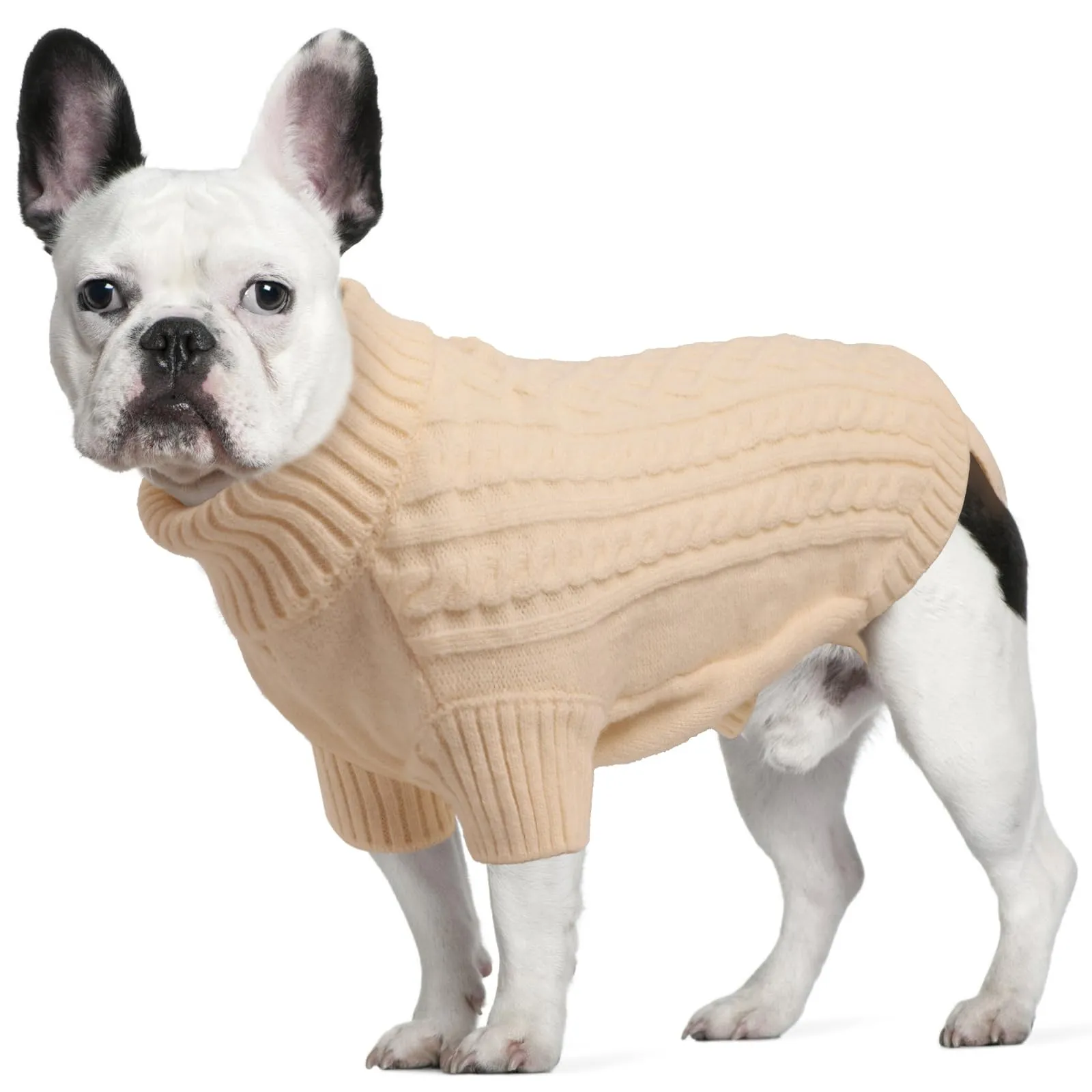 LiebeDD Maglione Cane Invernale Termico Dolcevita in Pile, Beige L - immagine 1