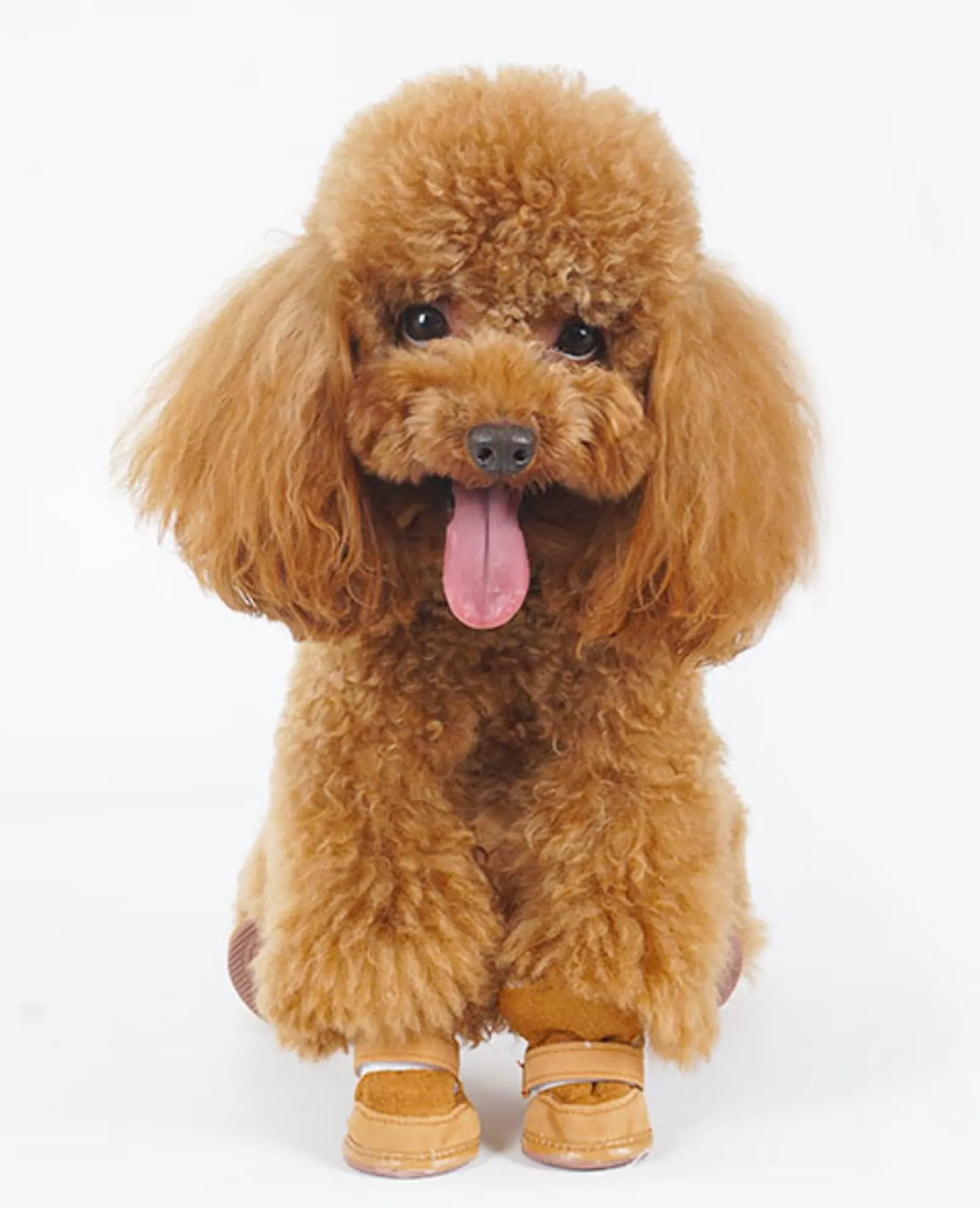 PPGGOPP Scarpe per Cani Impermeabili e Antiscivolo, Stivali Protegge Zampe con Interno in Pile per Cani di Taglia Piccola, 4 Pezzi (Marrone 1) - immagine 7