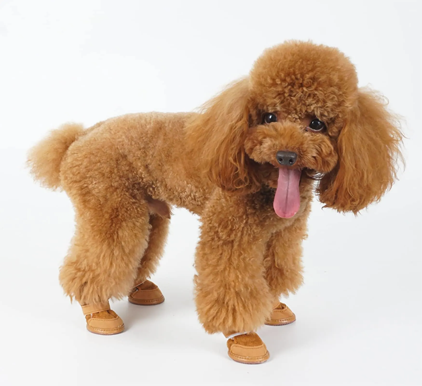 PPGGOPP Scarpe per Cani Impermeabili e Antiscivolo con Interno in Pile, 4 Pezzi, Marrone 2 - immagine 7
