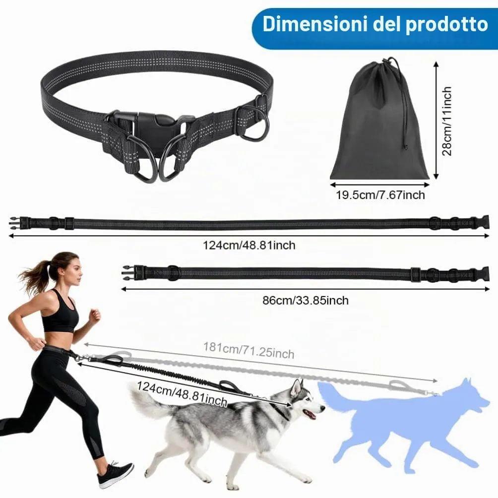 OFFCUP Guinzaglio Cani Mani Libere, Prolunga Elastica da Jogging - immagine 2