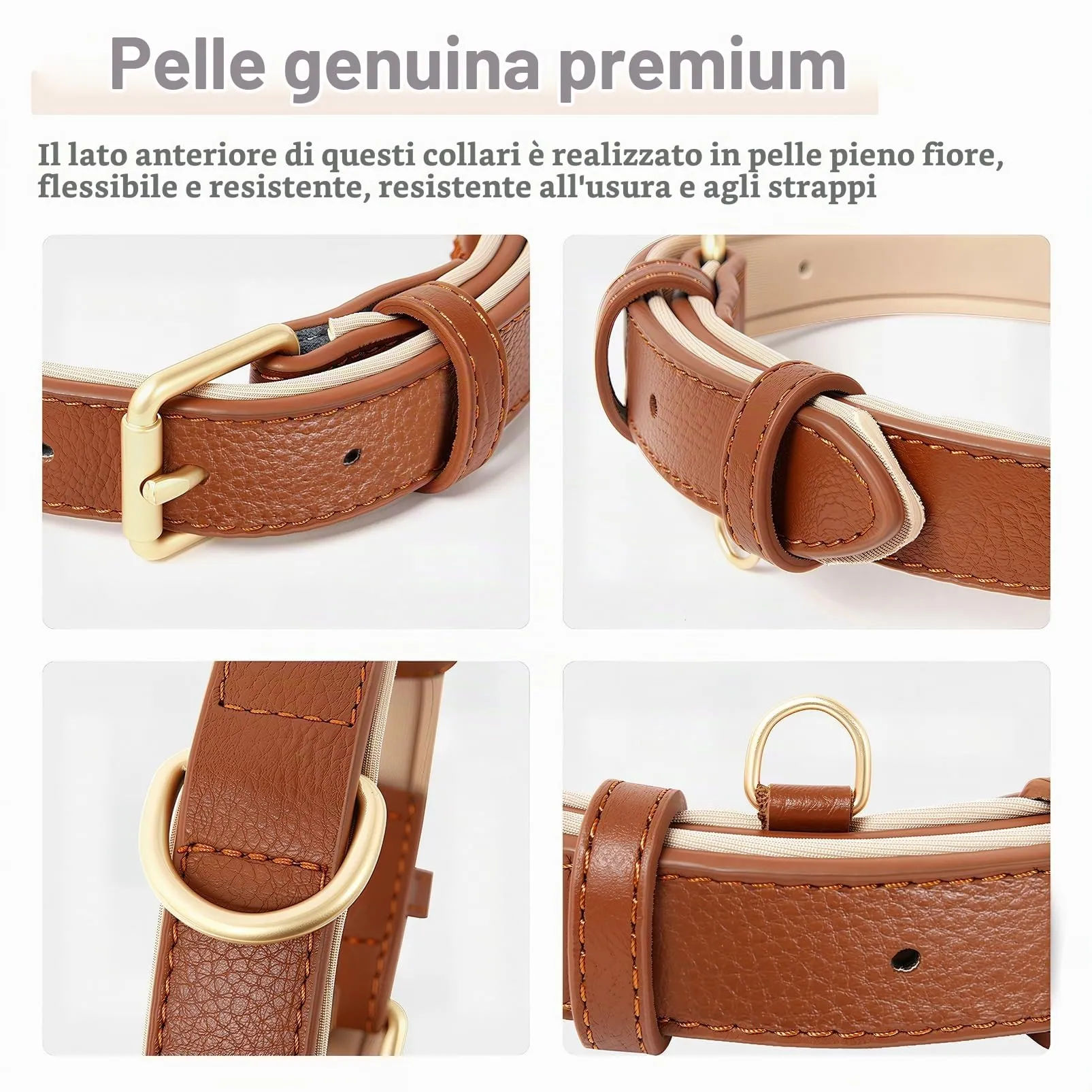 HEELE Collare Cane in Pelle Imbottito, Marrone, S - immagine 6