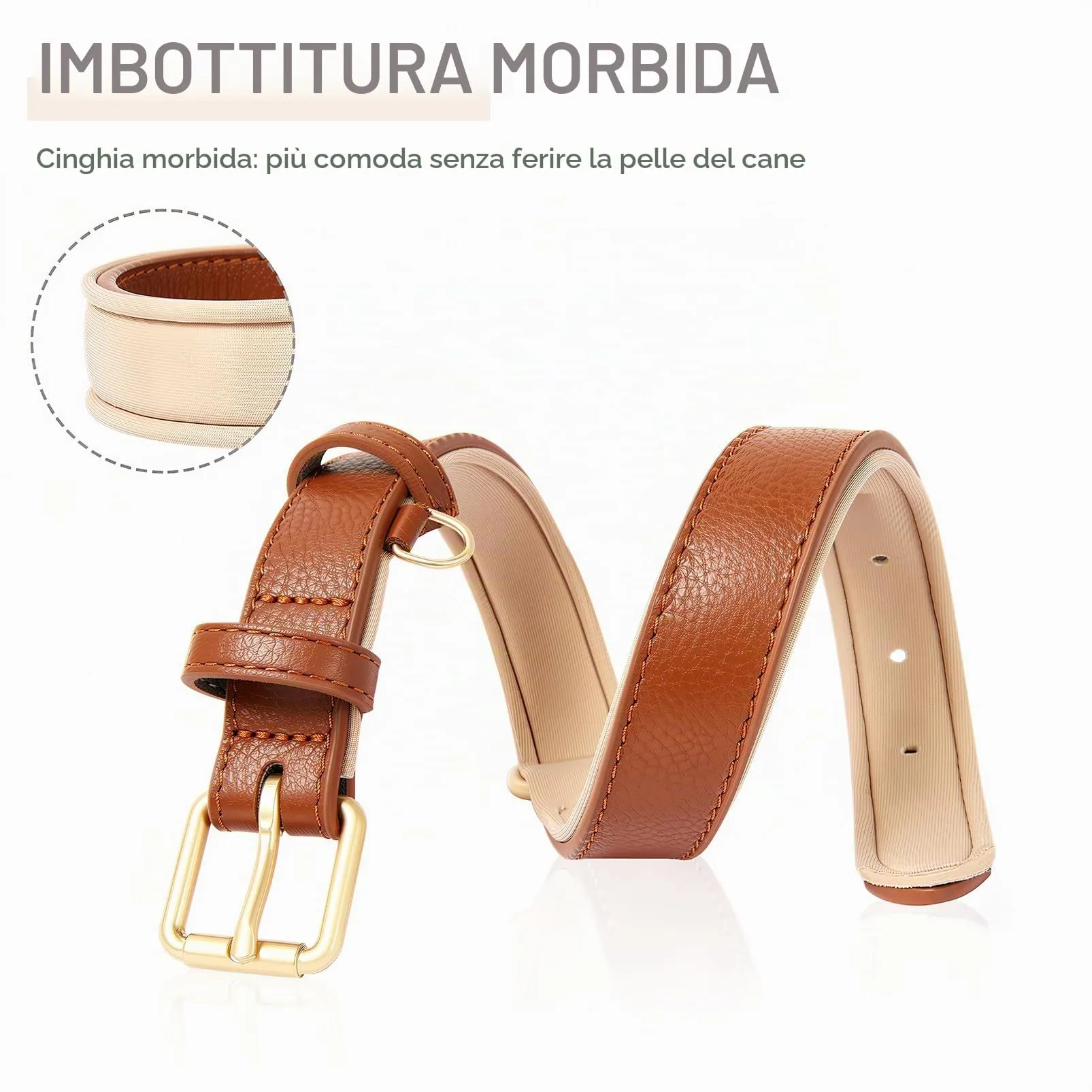 HEELE Collare in Pelle per Cani di Taglia Piccola e Gatti, Imbottito, Marrone, XS - immagine 6