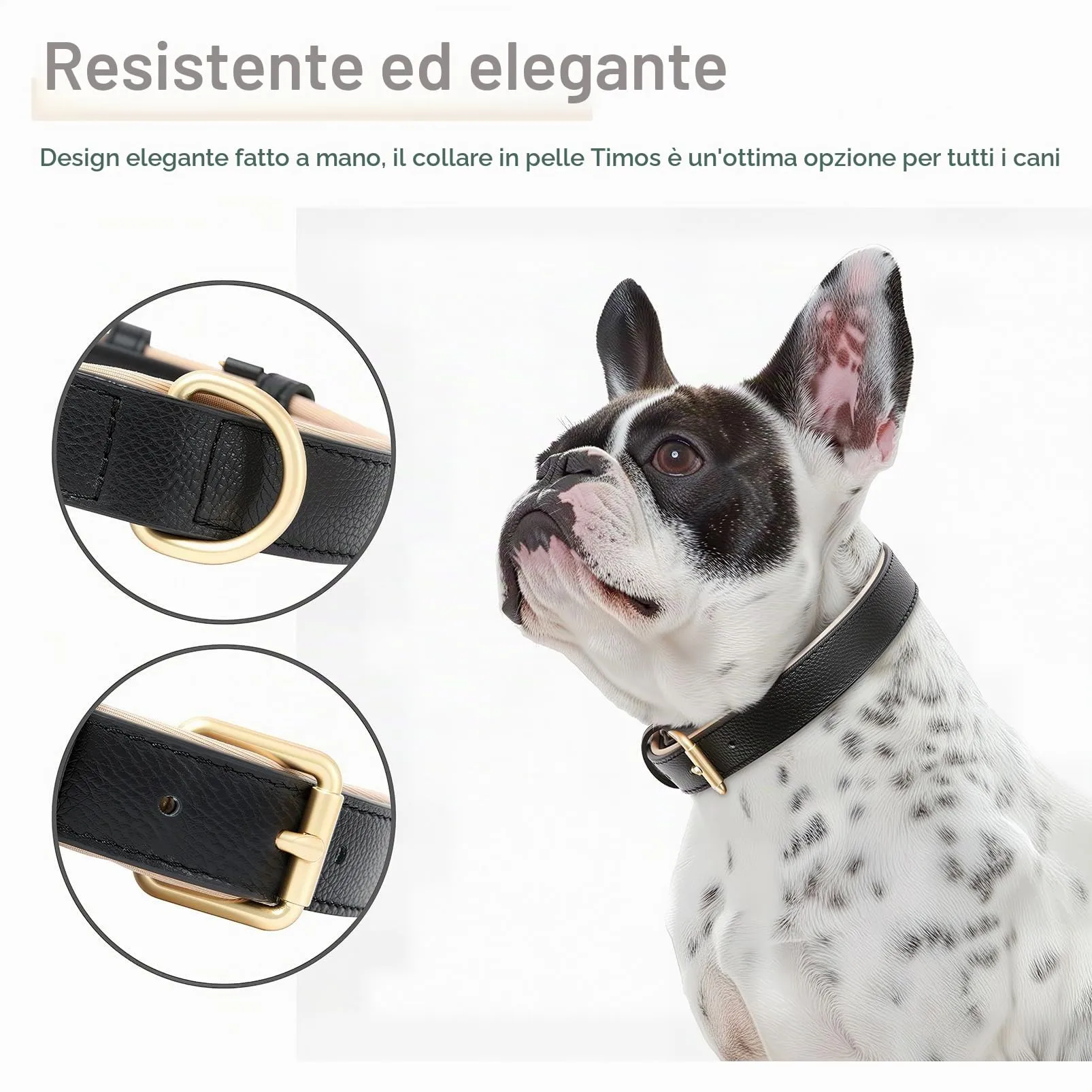 HEELE Collare in Pelle Imbottito per Cani di Taglia Piccola e Gatti, Nero, XS - immagine 5