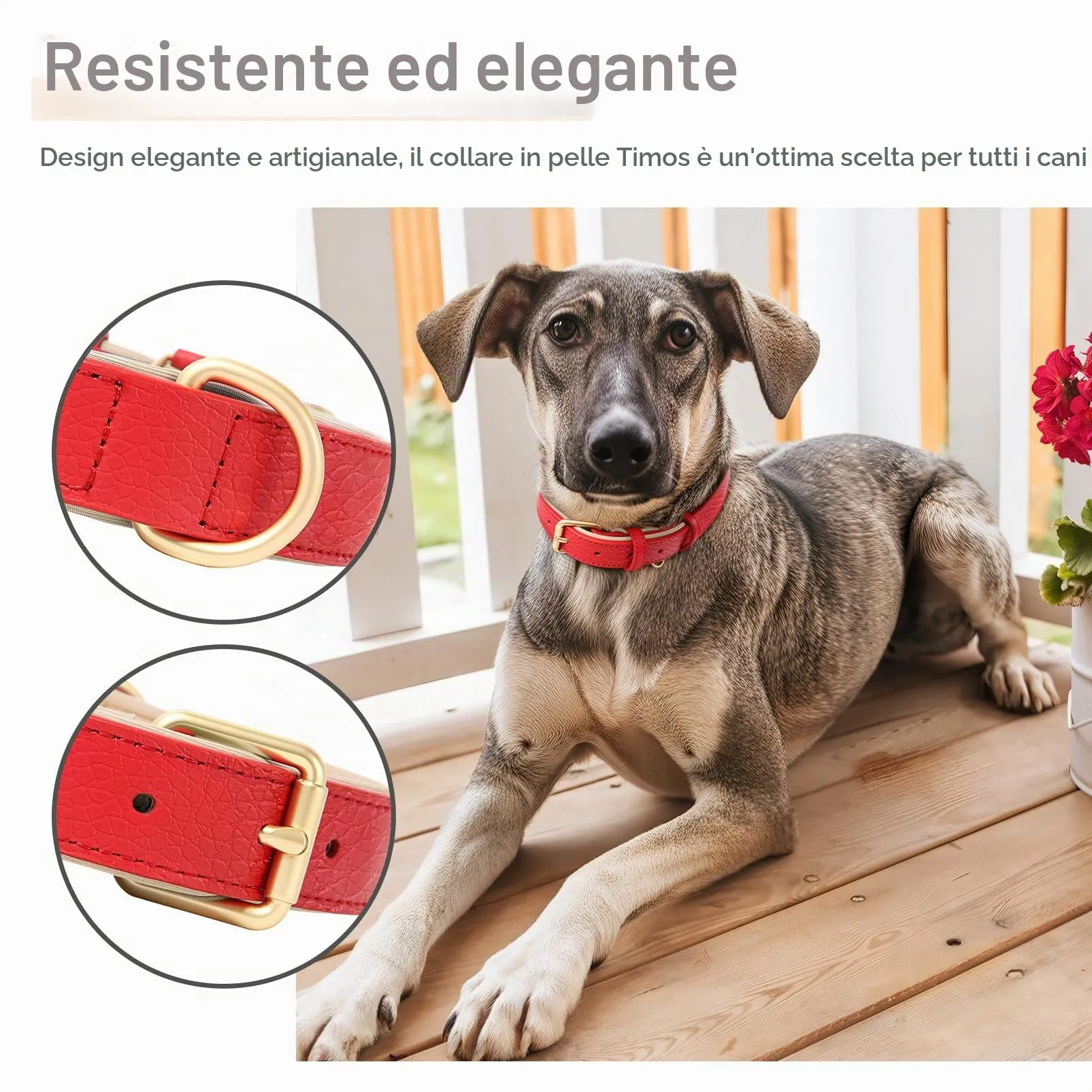 HEELE Collare Cane in Pelle Imbottito, Nuovo Rosso, L - immagine 5