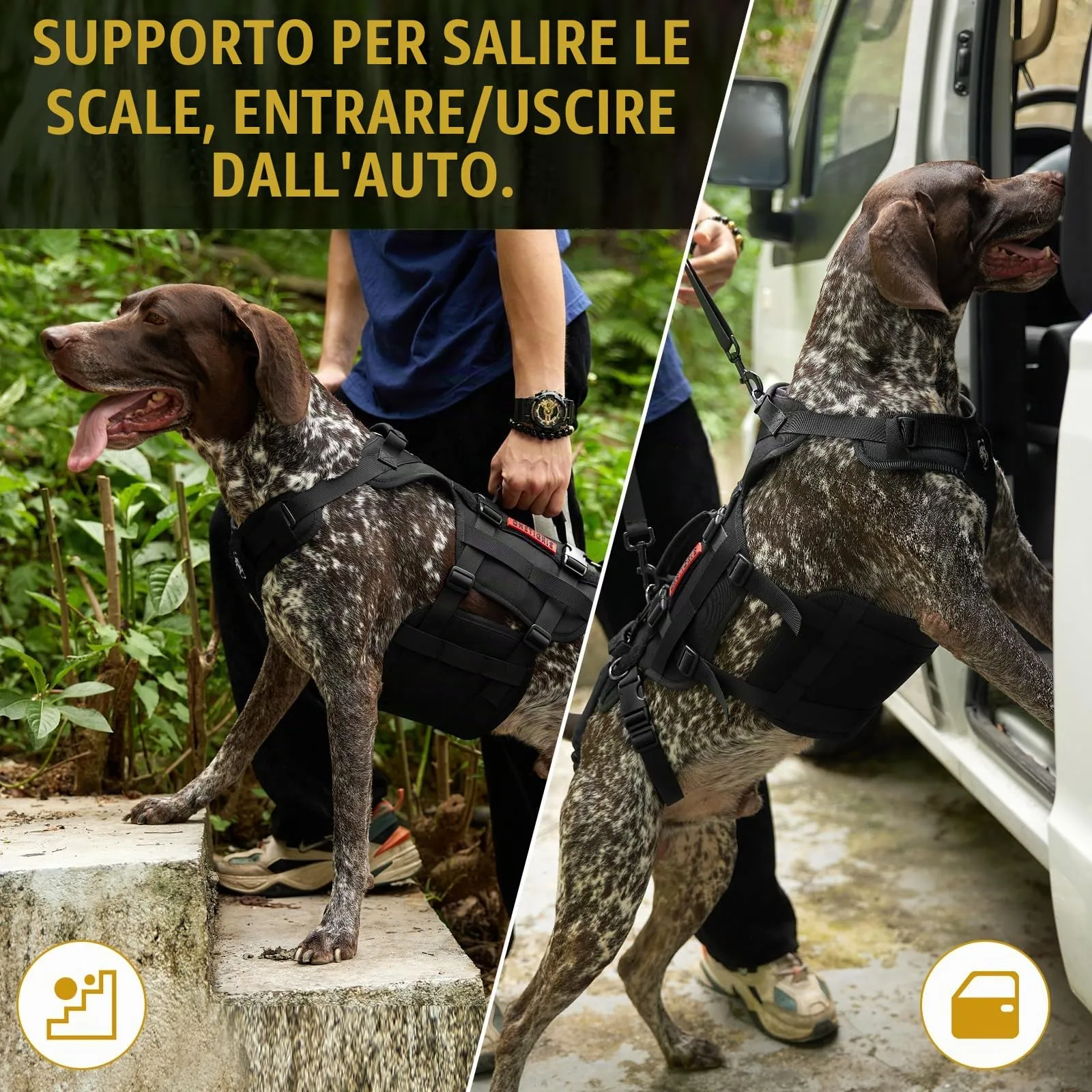 OneTigris Invictus Imbracatura di Supporto per Cani di Taglia Media e Grande con 3 Maniglie e Spallacci Regolabili - immagine 6