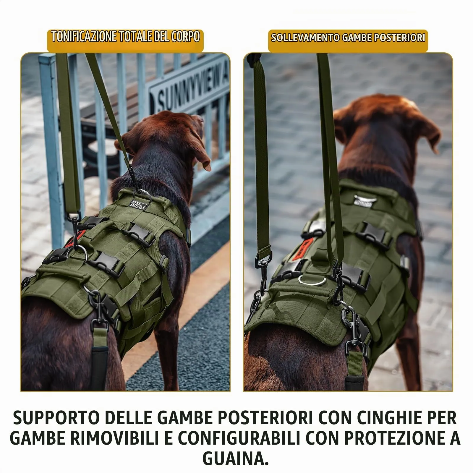 OneTigris Imbracatura di Supporto Invictus per Cani di Taglia Media e Grande con 3 Maniglie e Spallacci Regolabili - immagine 7