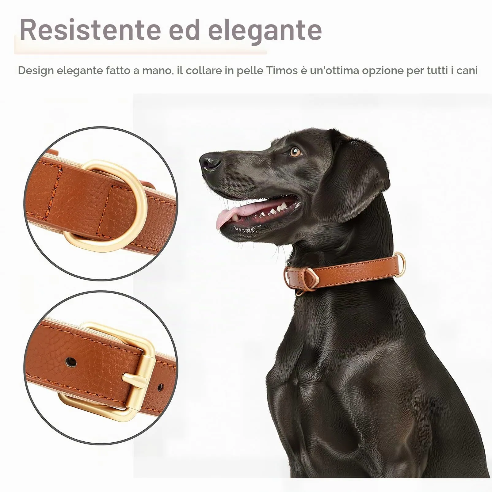 HEELE Collare Cane in Pelle Imbottito, Marrone, L - immagine 6