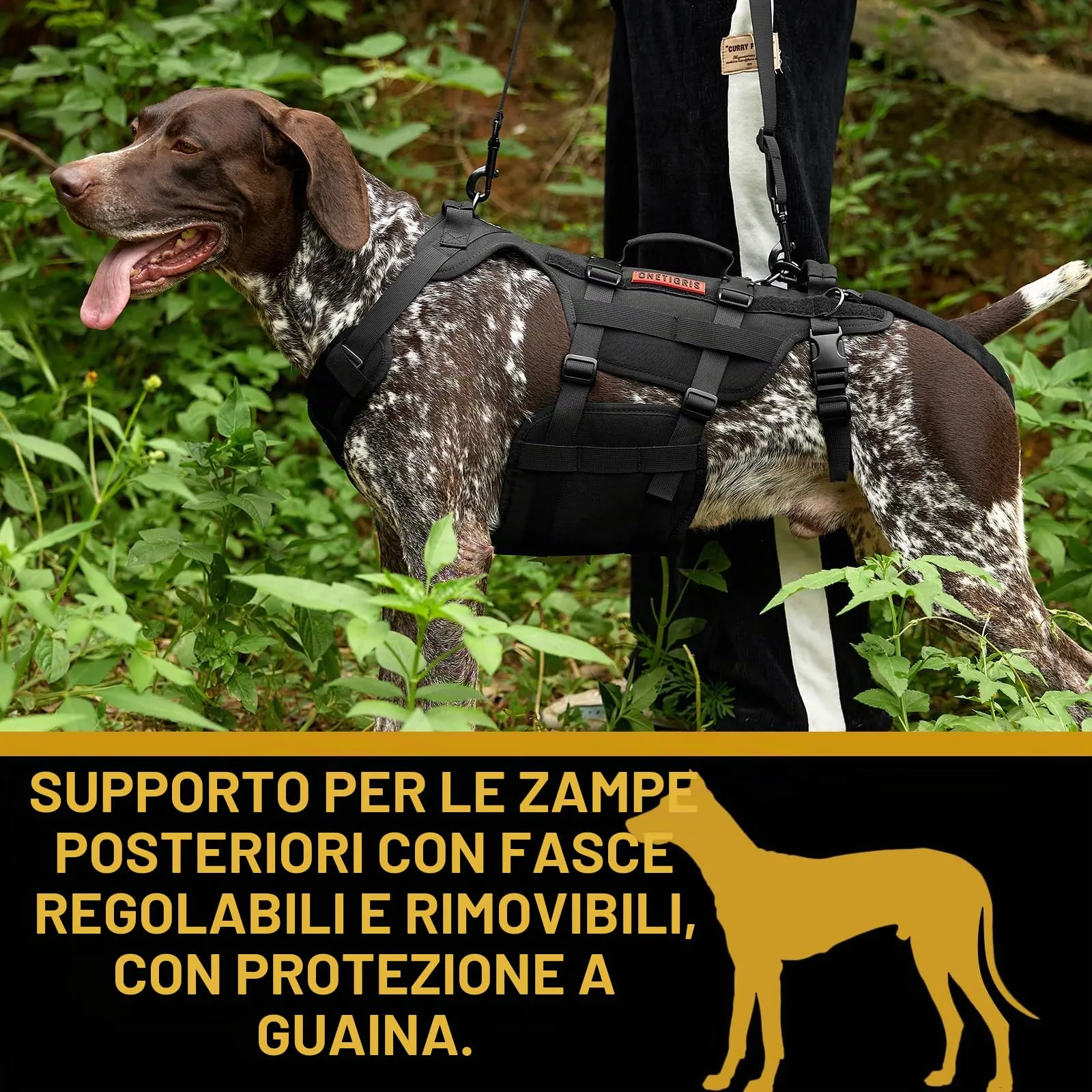 OneTigris Invictus Imbracatura di Supporto per Cani di Taglia Media e Grande con 3 Maniglie e Spallacci Regolabili - immagine 7