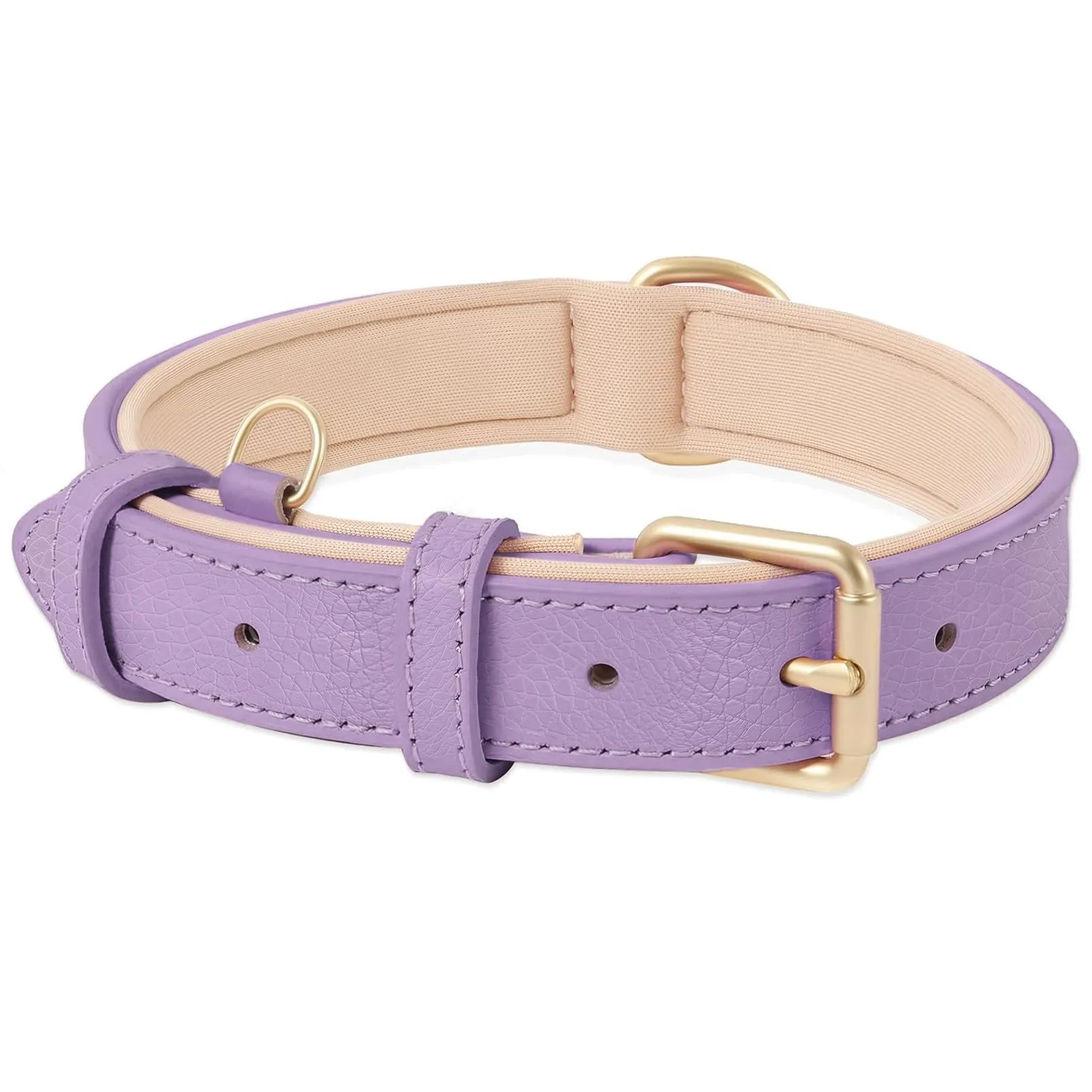 HEELE Collare Cane in Pelle Imbottito, Lilla, M - immagine 1