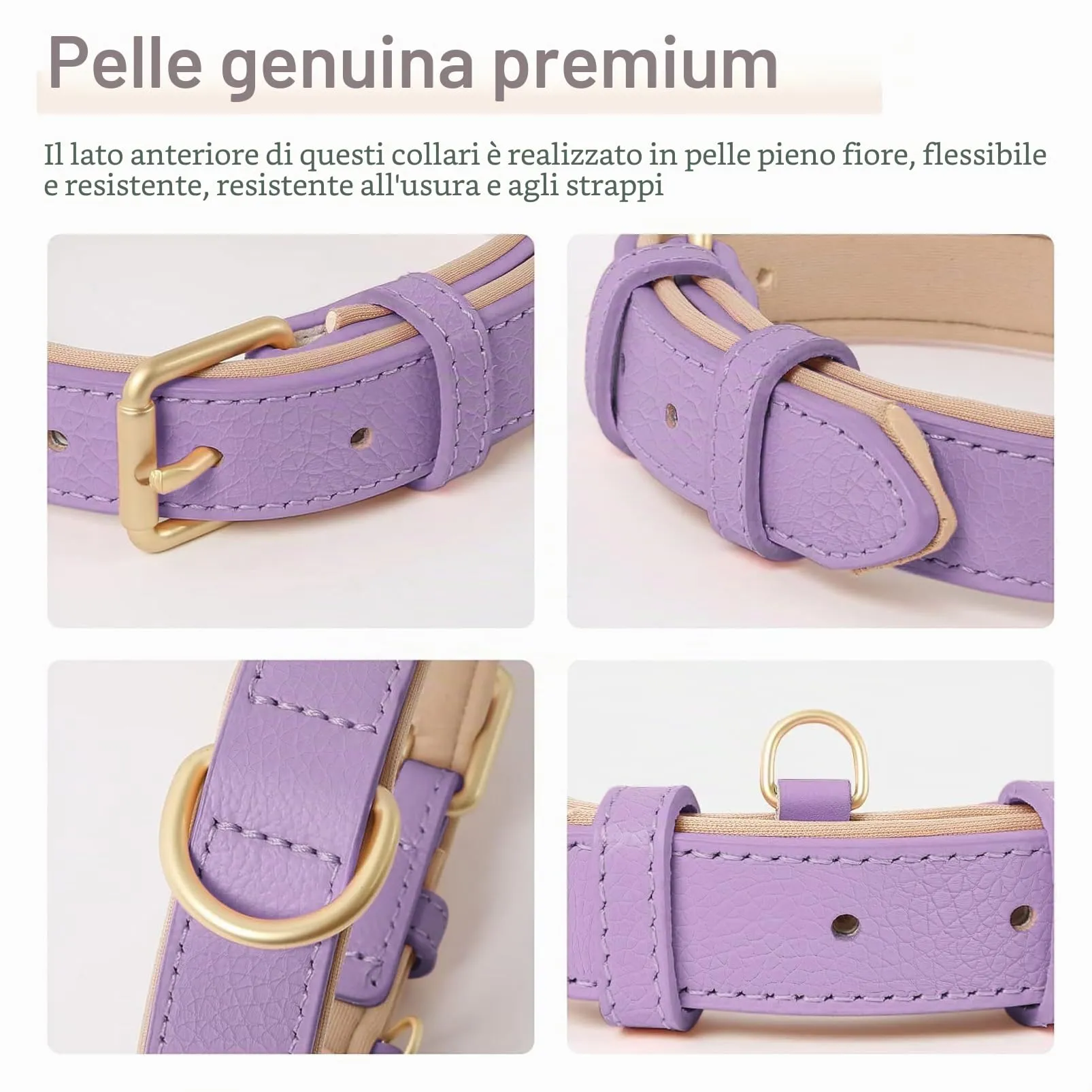HEELE Collare Cane in Pelle Imbottito, Lilla, M - immagine 5