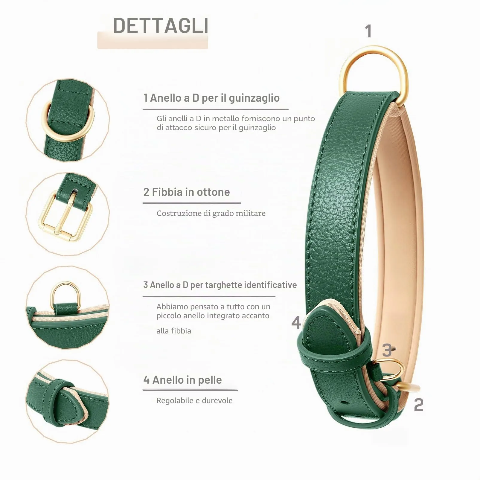 HEELE Collare Cane in Pelle Imbottito, Verde, S - immagine 3