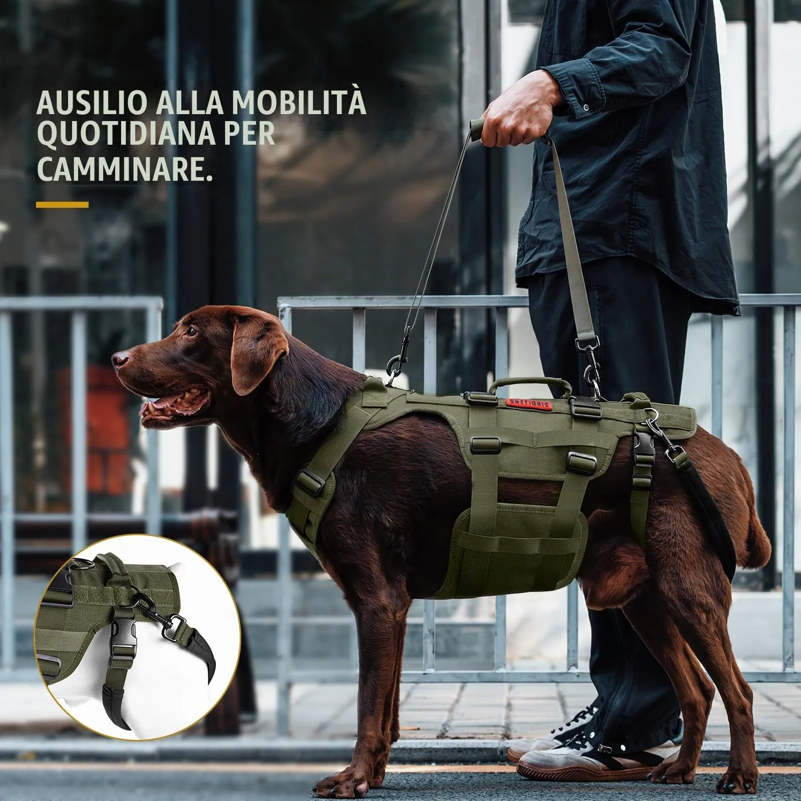 OneTigris Invictus Imbracatura per cani, Ausilio per trasporto e deambulazione regolabile con 3 maniglie per cani di taglia media e grande - immagine 5