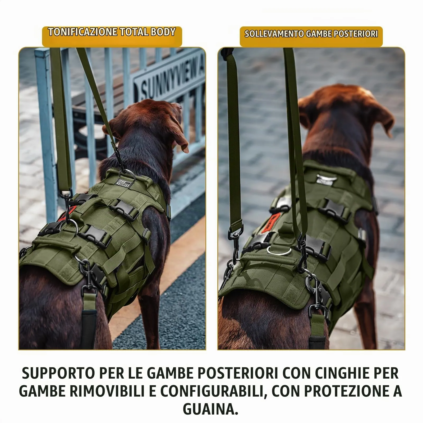 OneTigris Invictus Imbracatura per cani, Ausilio per trasporto e deambulazione regolabile con 3 maniglie per cani di taglia media e grande - immagine 7