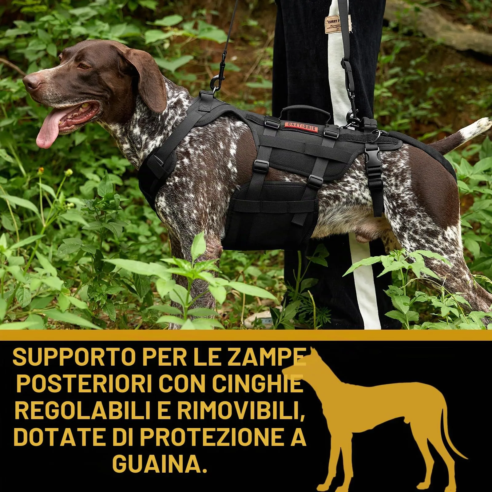 OneTigris Invictus Imbracatura di sollevamento per cani di taglia media e grande, nero, XL - immagine 7